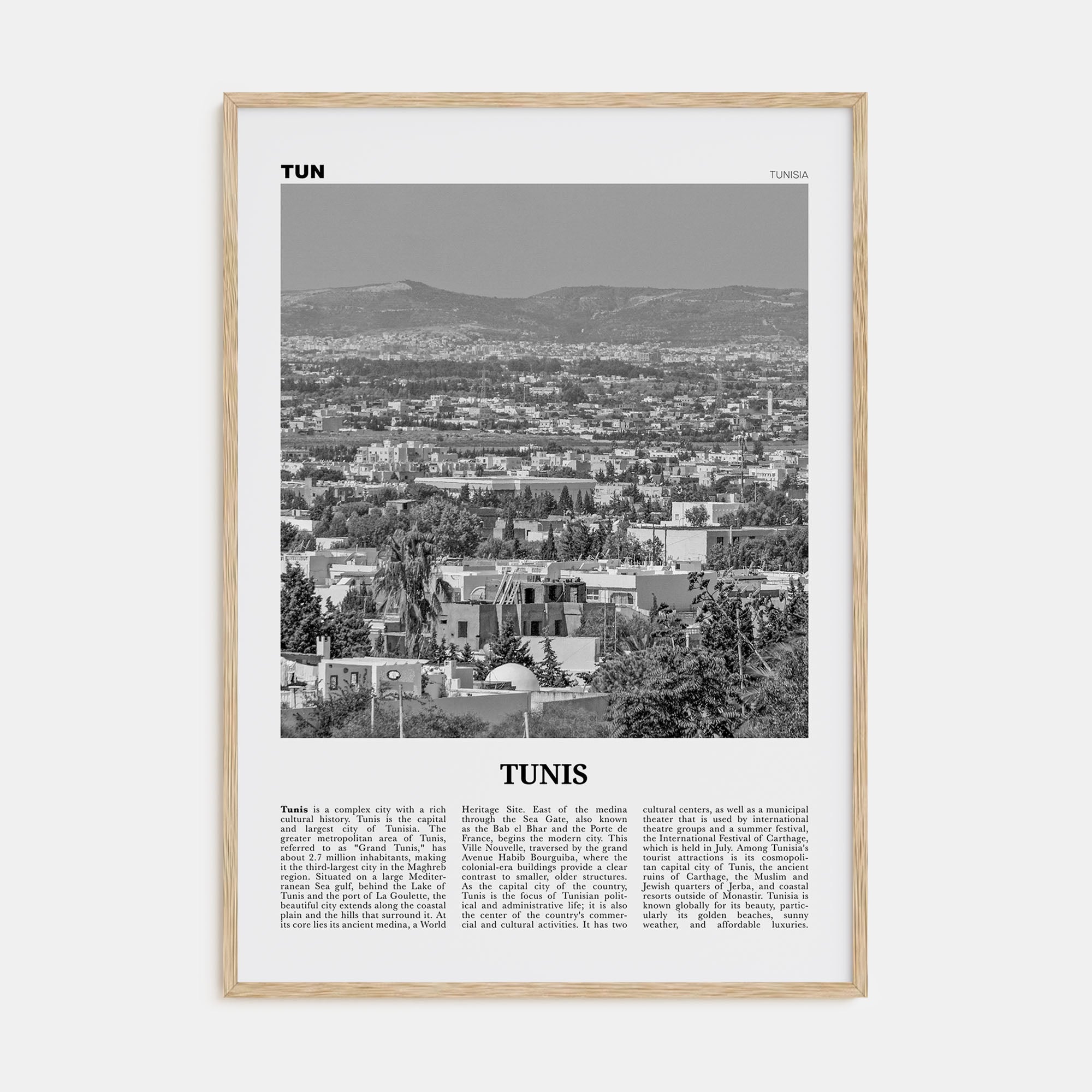 Tunis Travel B&W Poster