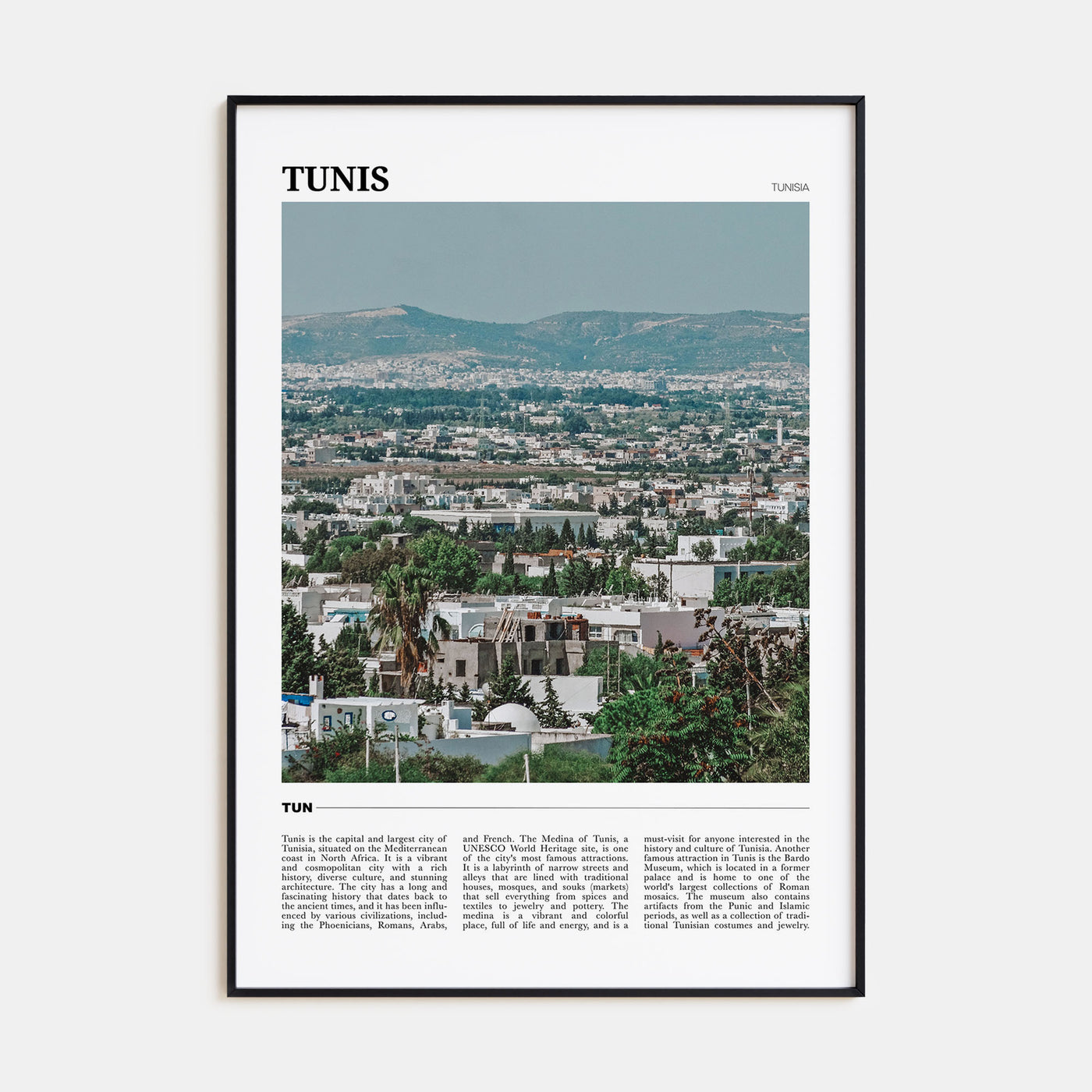 Tunis Travel Color Poster