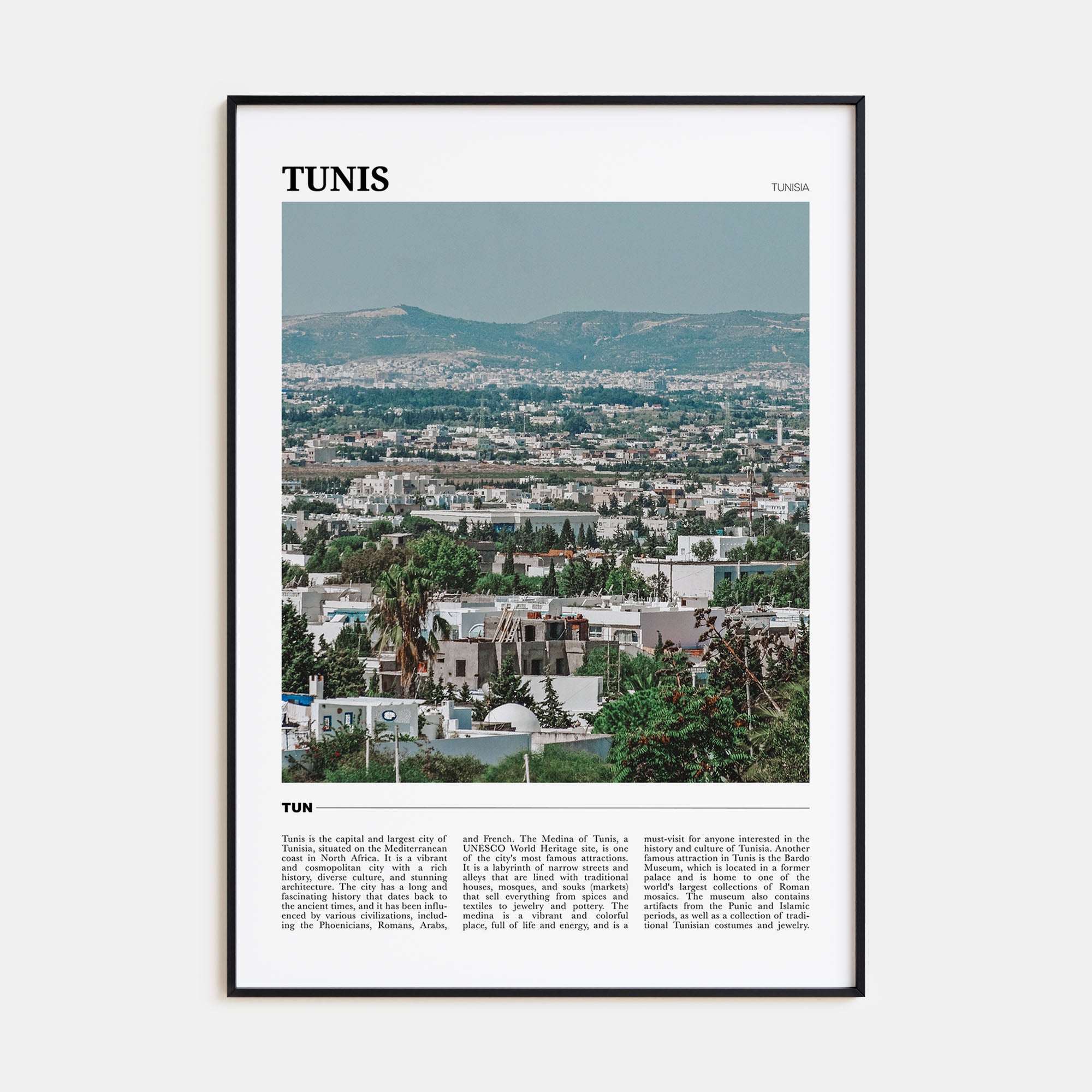 Tunis Travel Color Poster