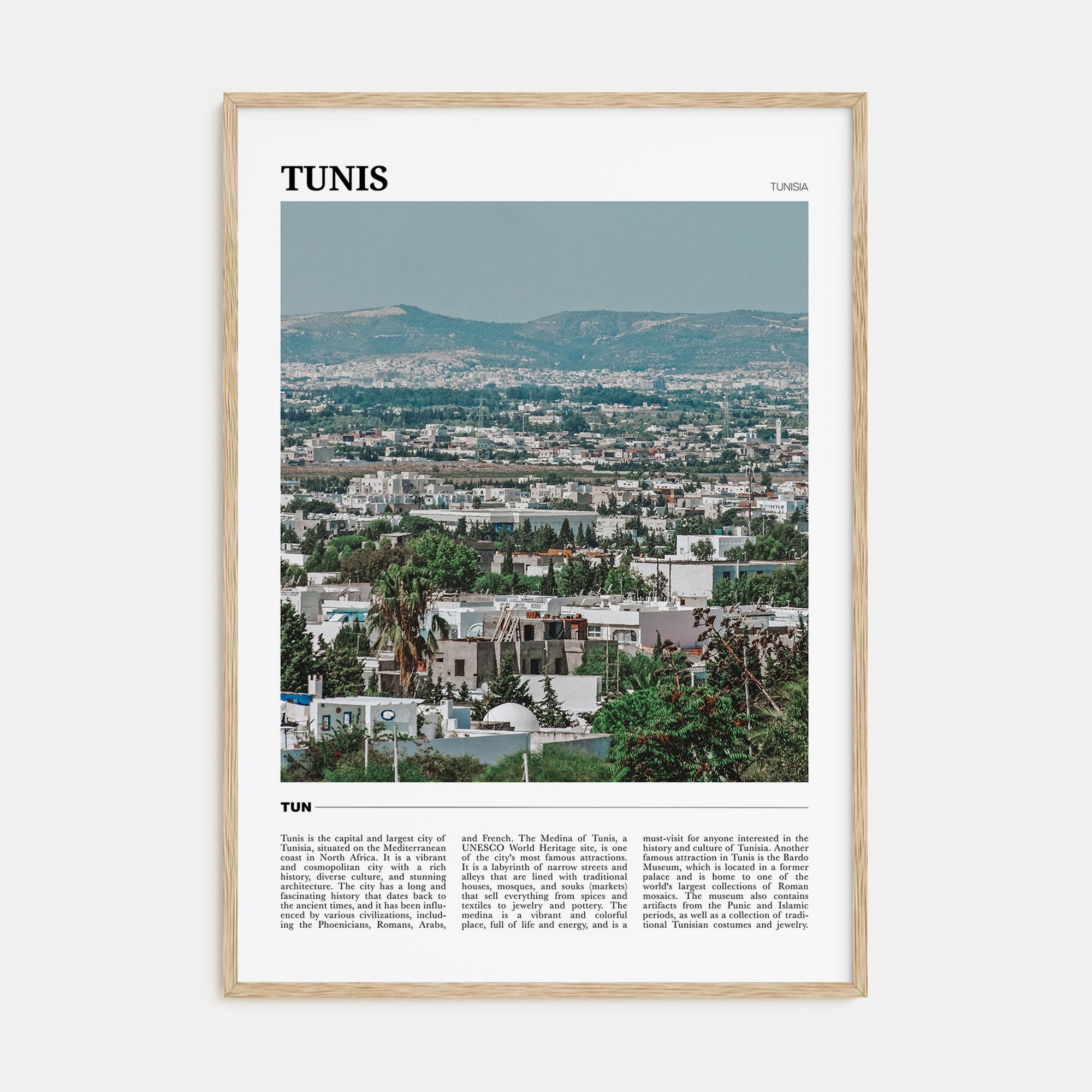 Tunis Travel Color Poster