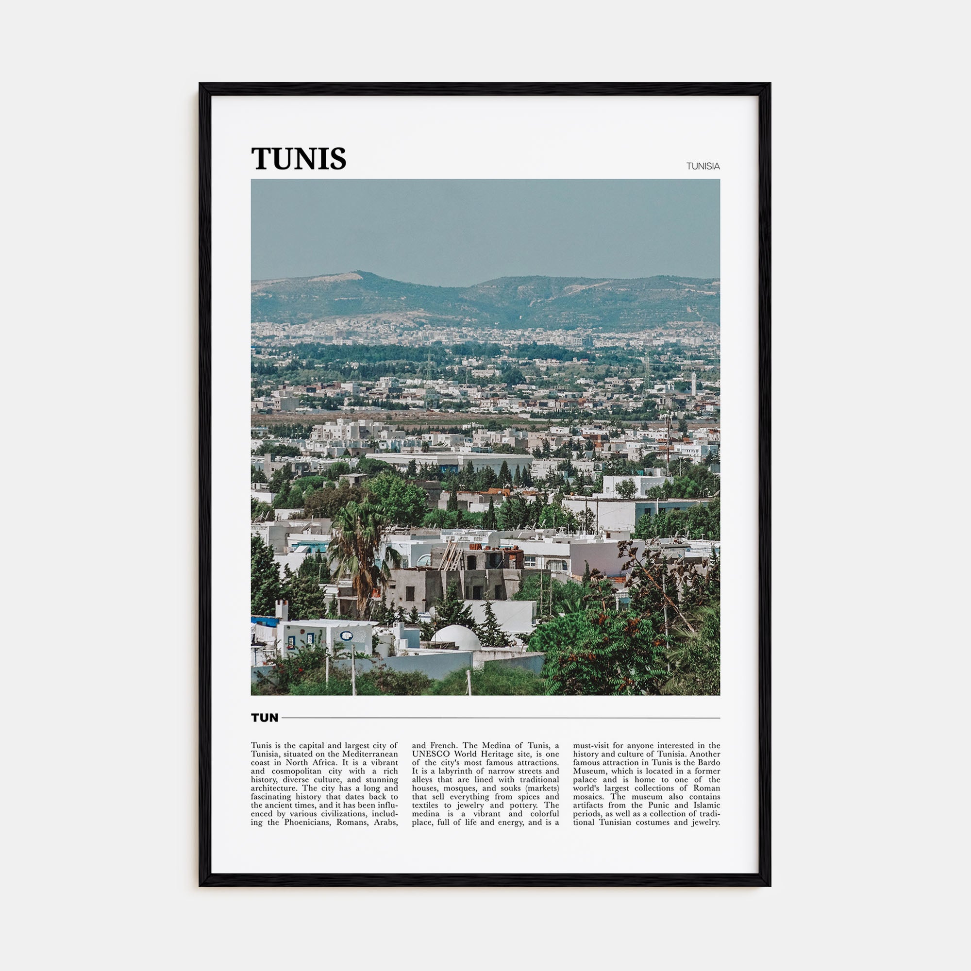 Tunis Travel Color Poster