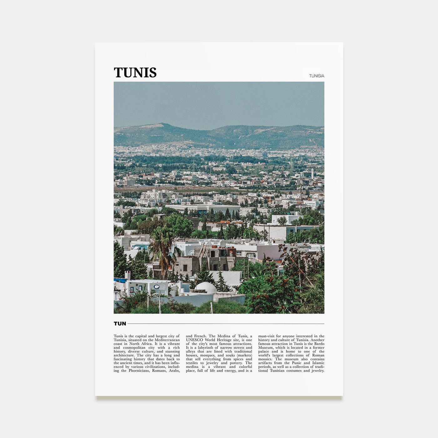 Tunis Travel Color Poster