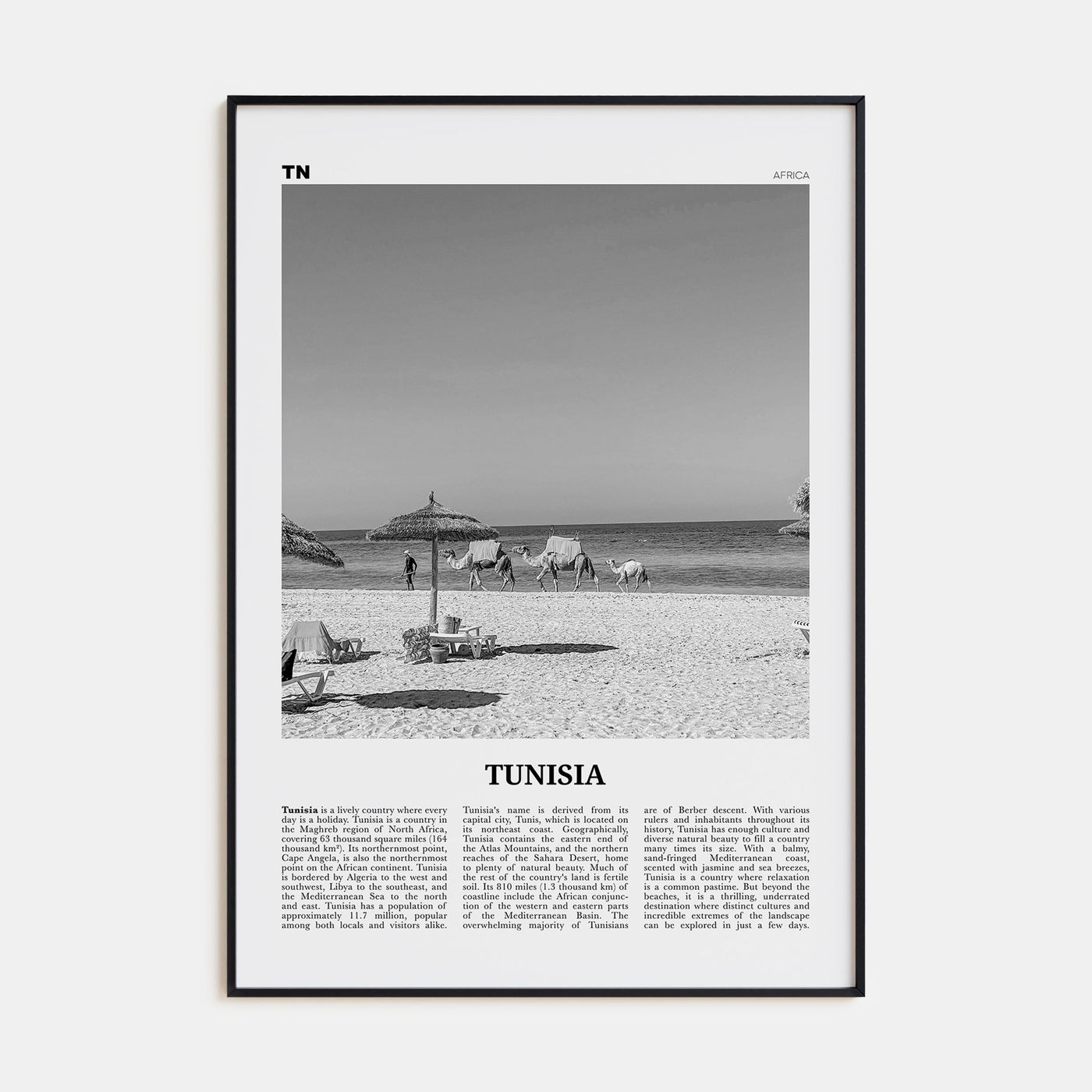 Tunisia Travel B&W Poster