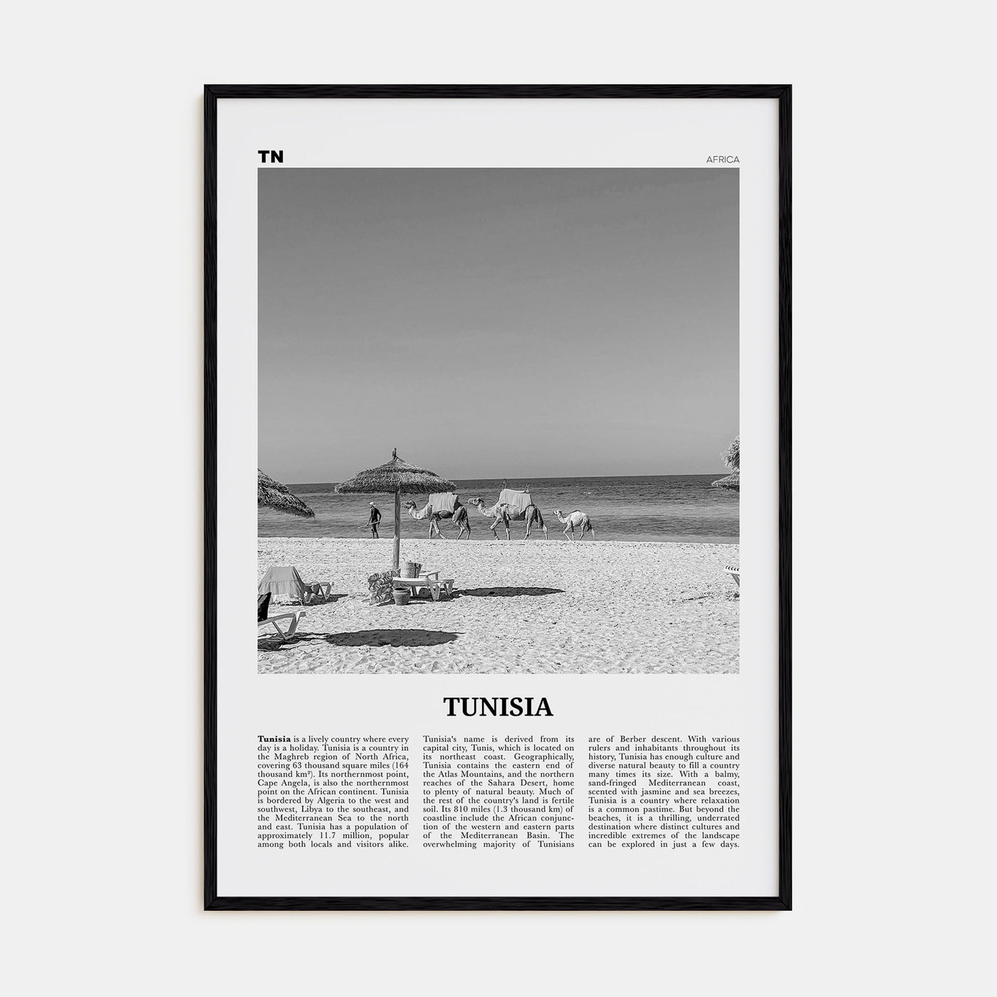 Tunisia Travel B&W Poster