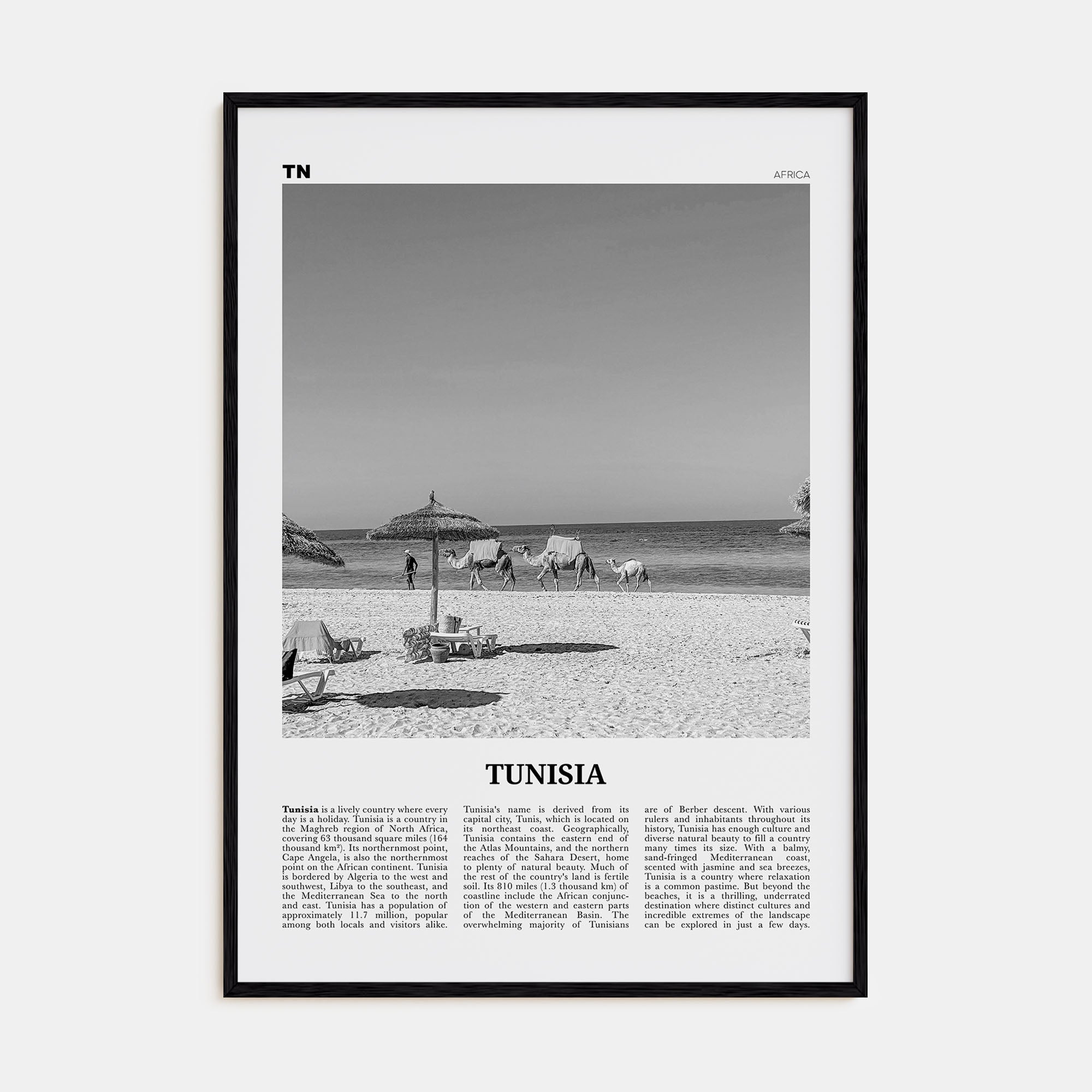 Tunisia Travel B&W Poster