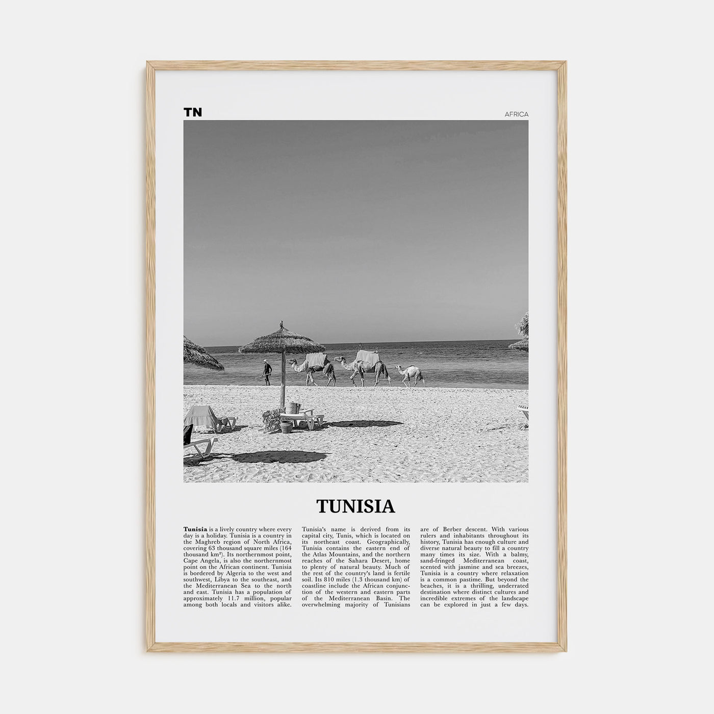 Tunisia Travel B&W Poster