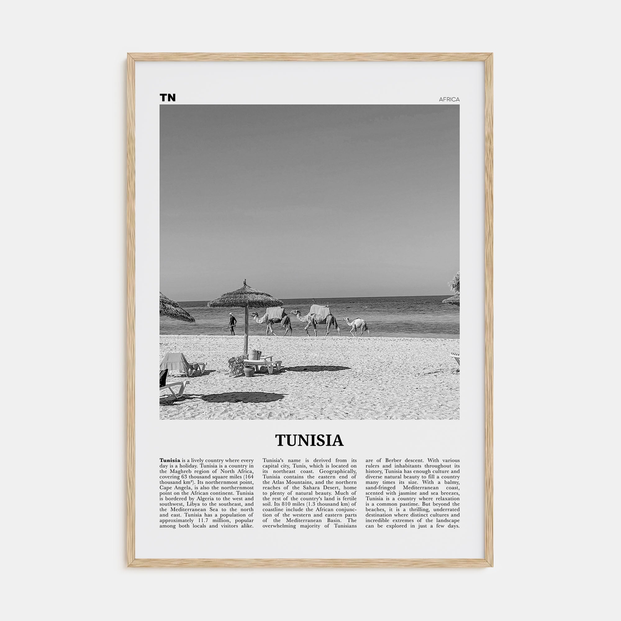 Tunisia Travel B&W Poster
