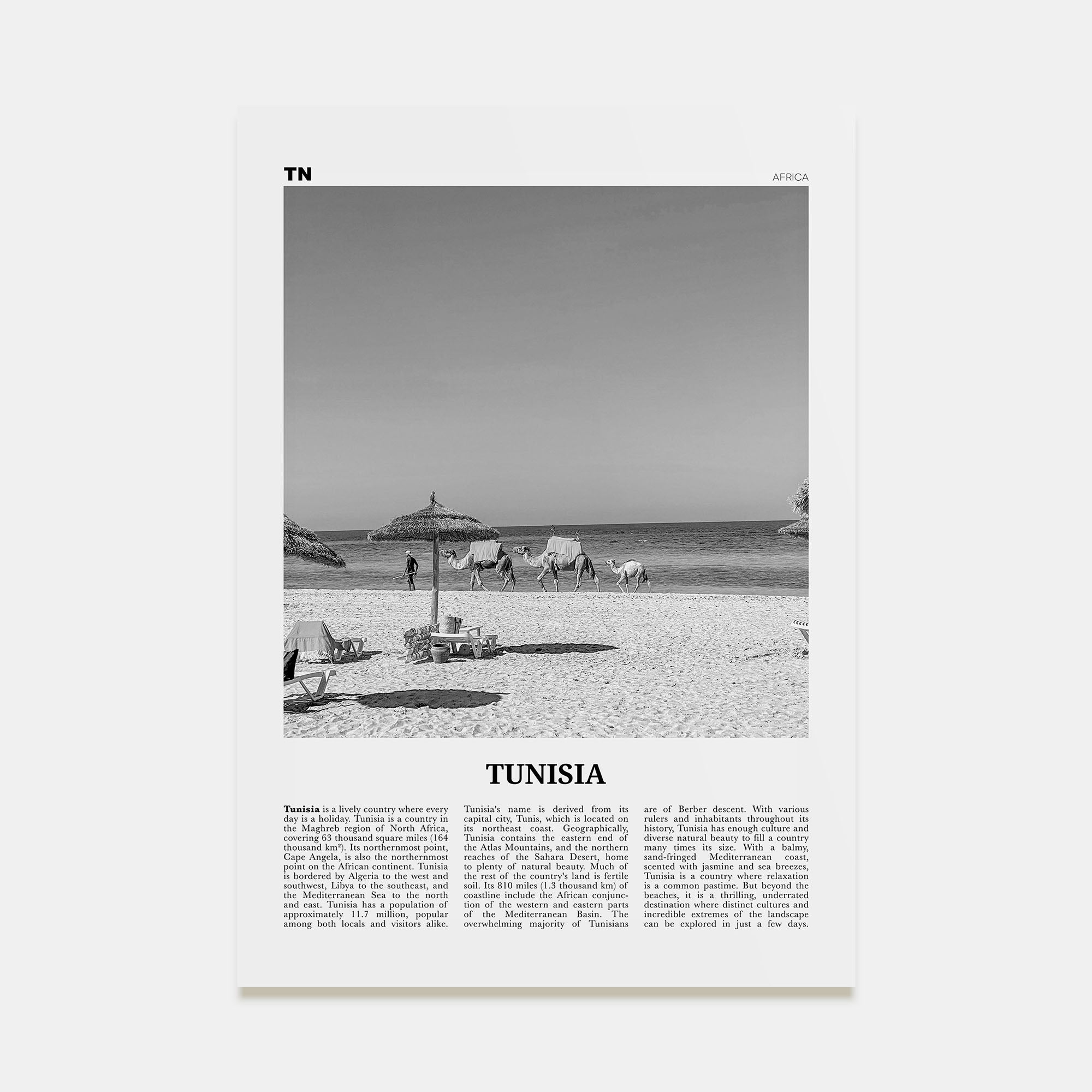 Tunisia Travel B&W Poster