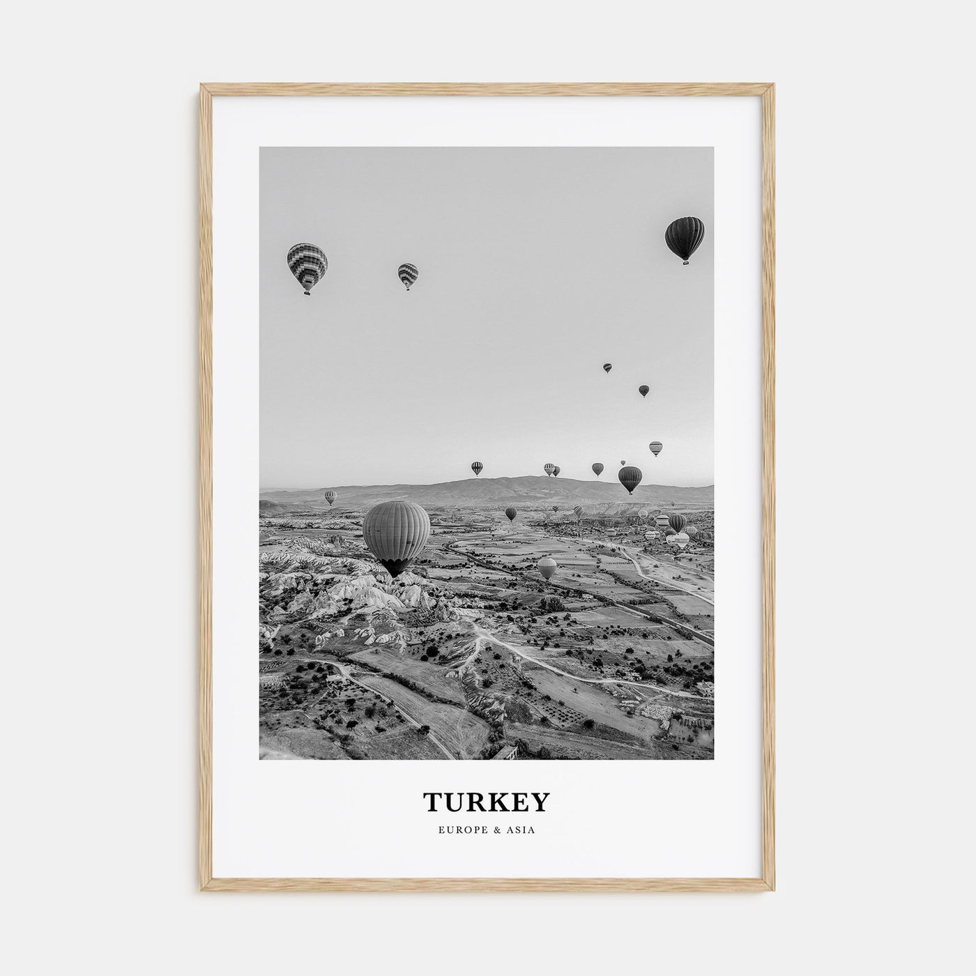 Turkey Portrait B&W Poster