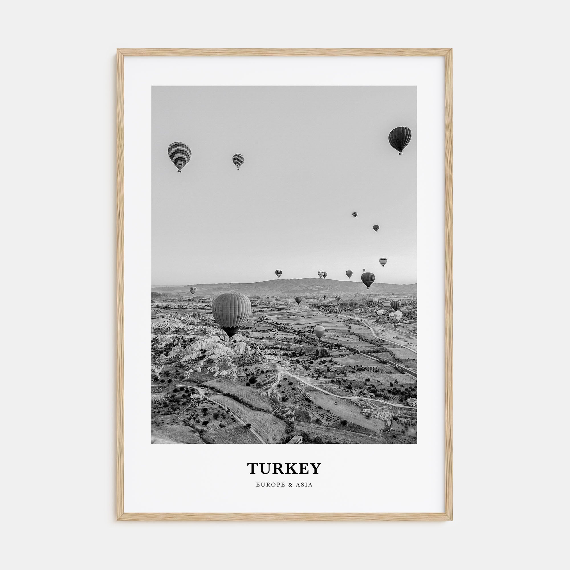 Turkey Portrait B&W Poster