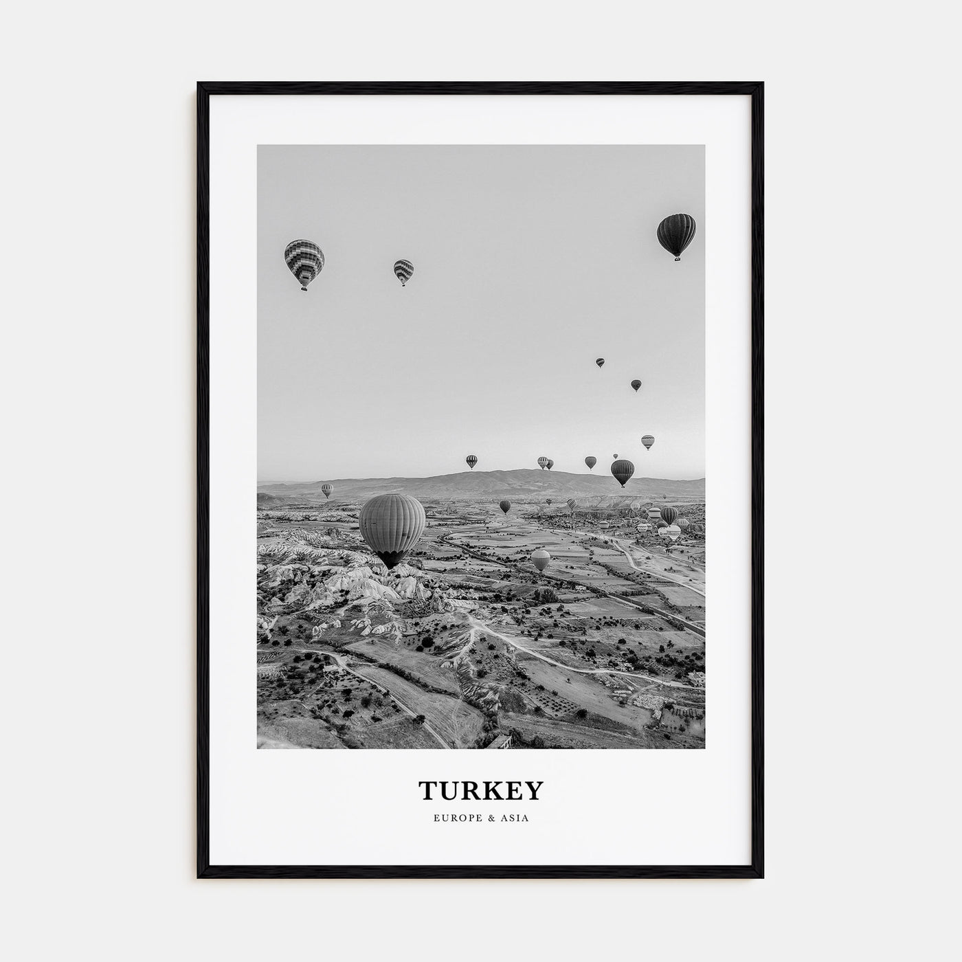 Turkey Portrait B&W Poster