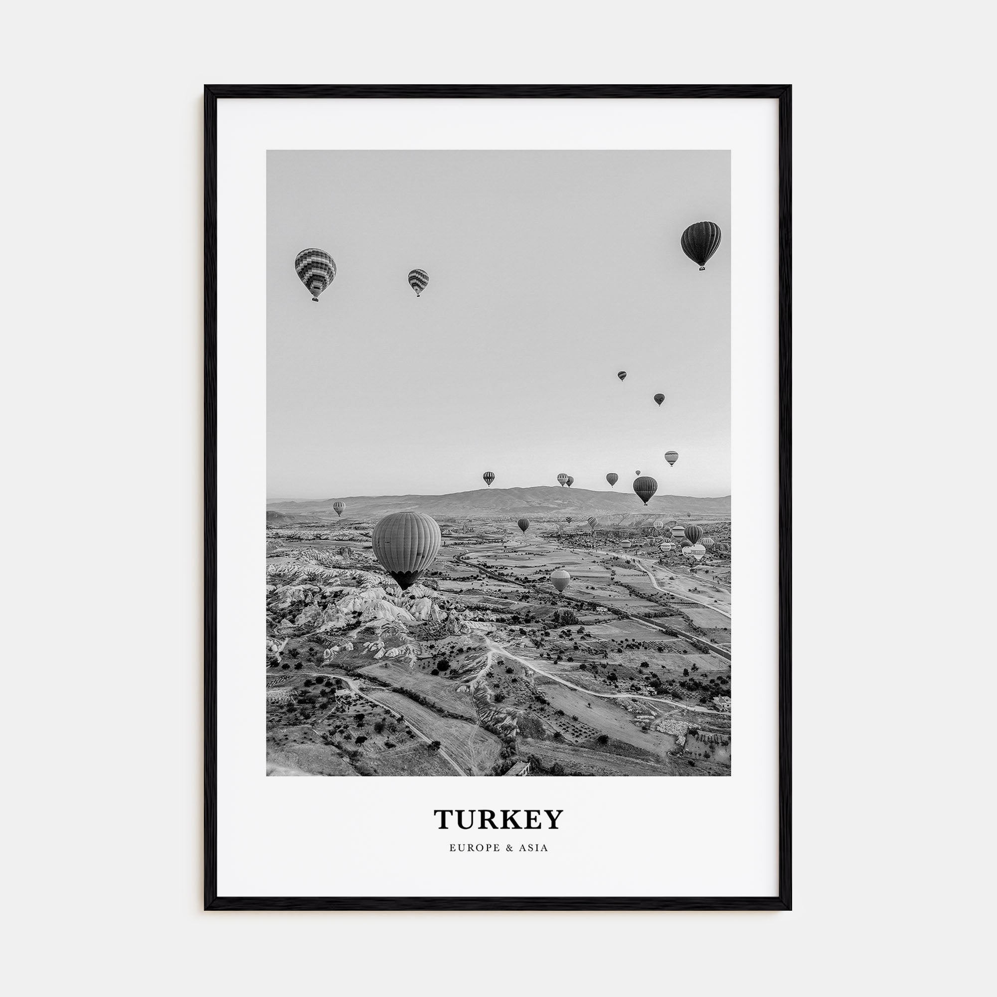 Turkey Portrait B&W Poster