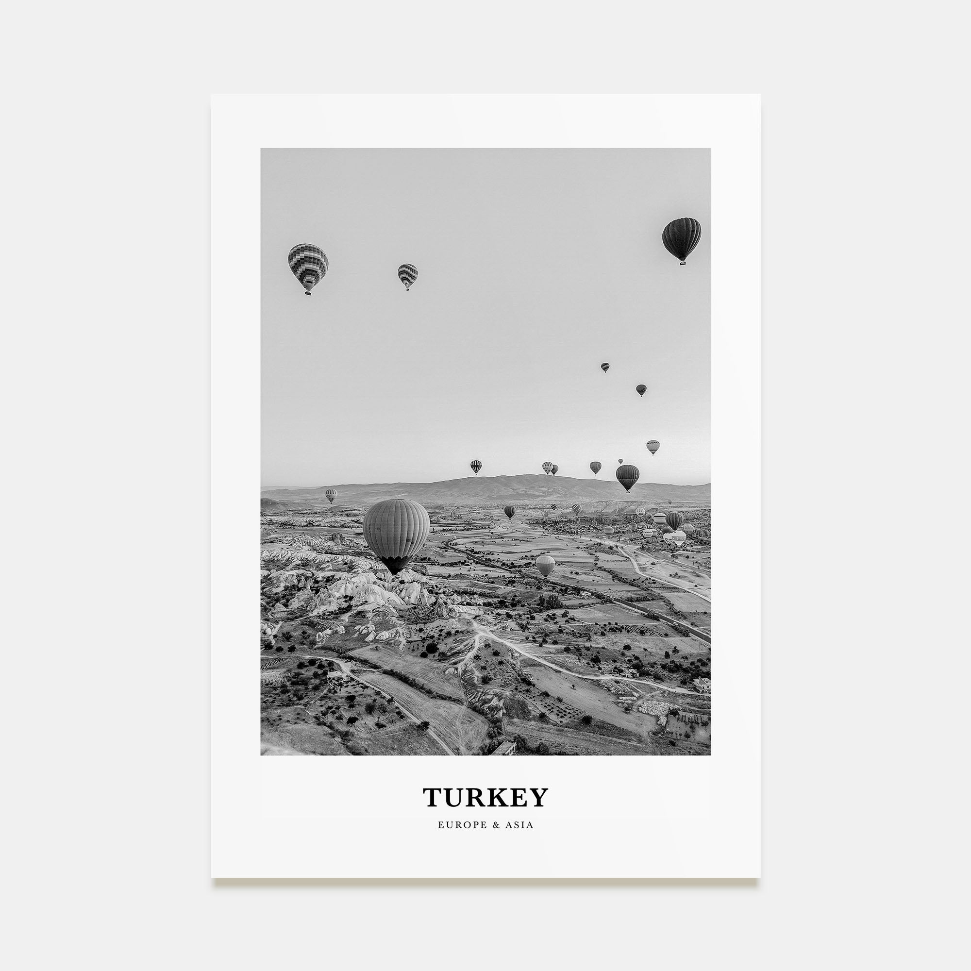 Turkey Portrait B&W Poster