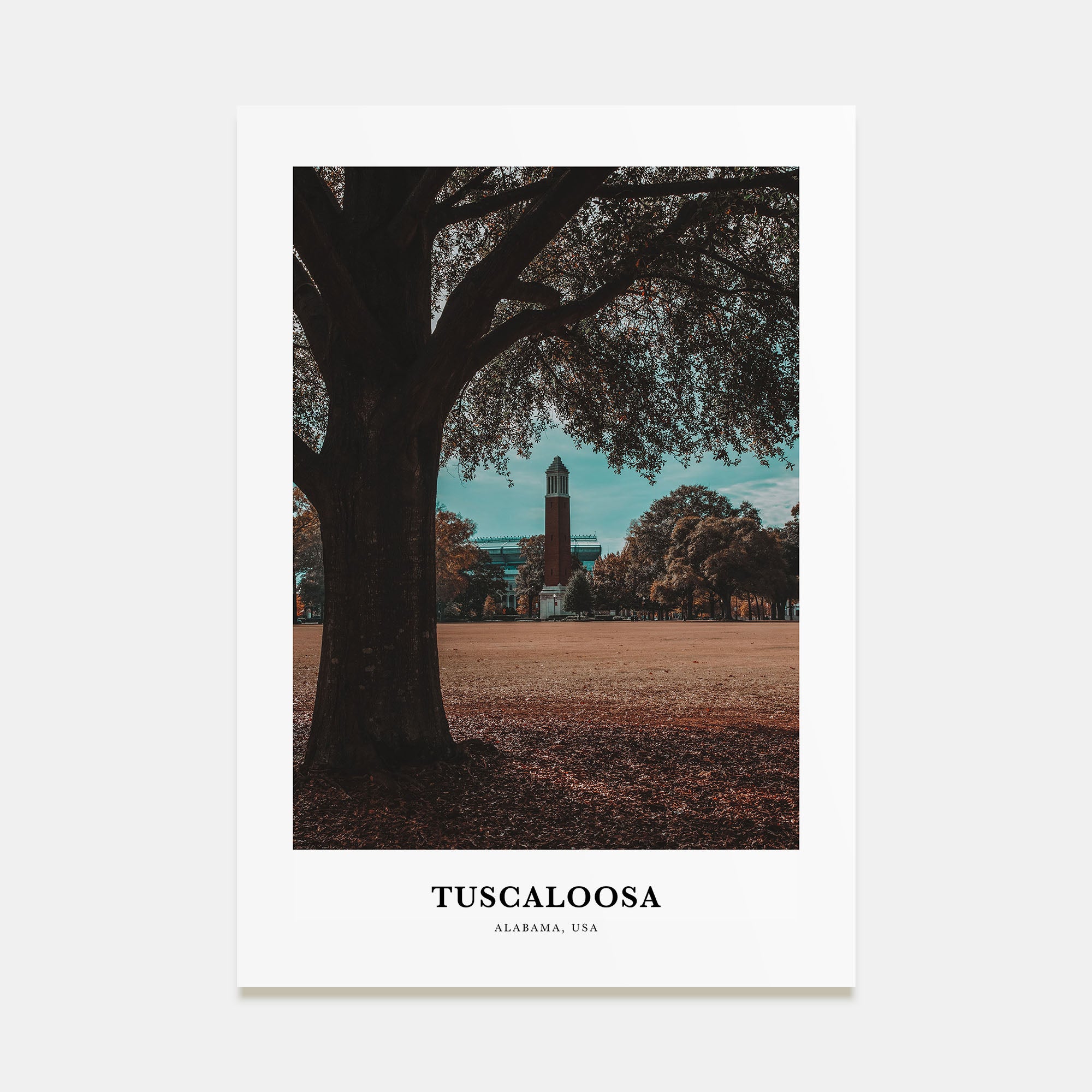Tuscaloosa Portrait Color Poster