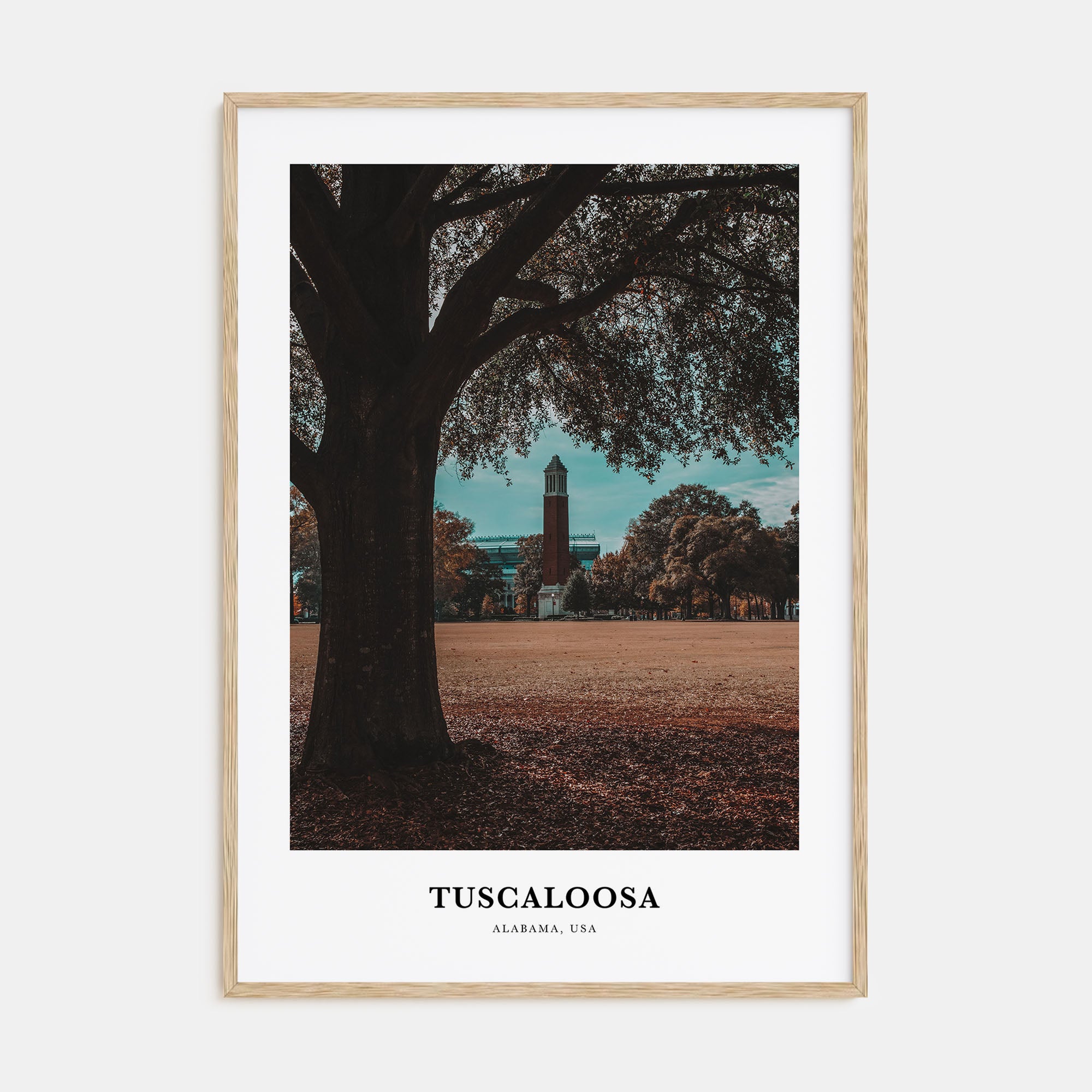 Tuscaloosa Portrait Color Poster