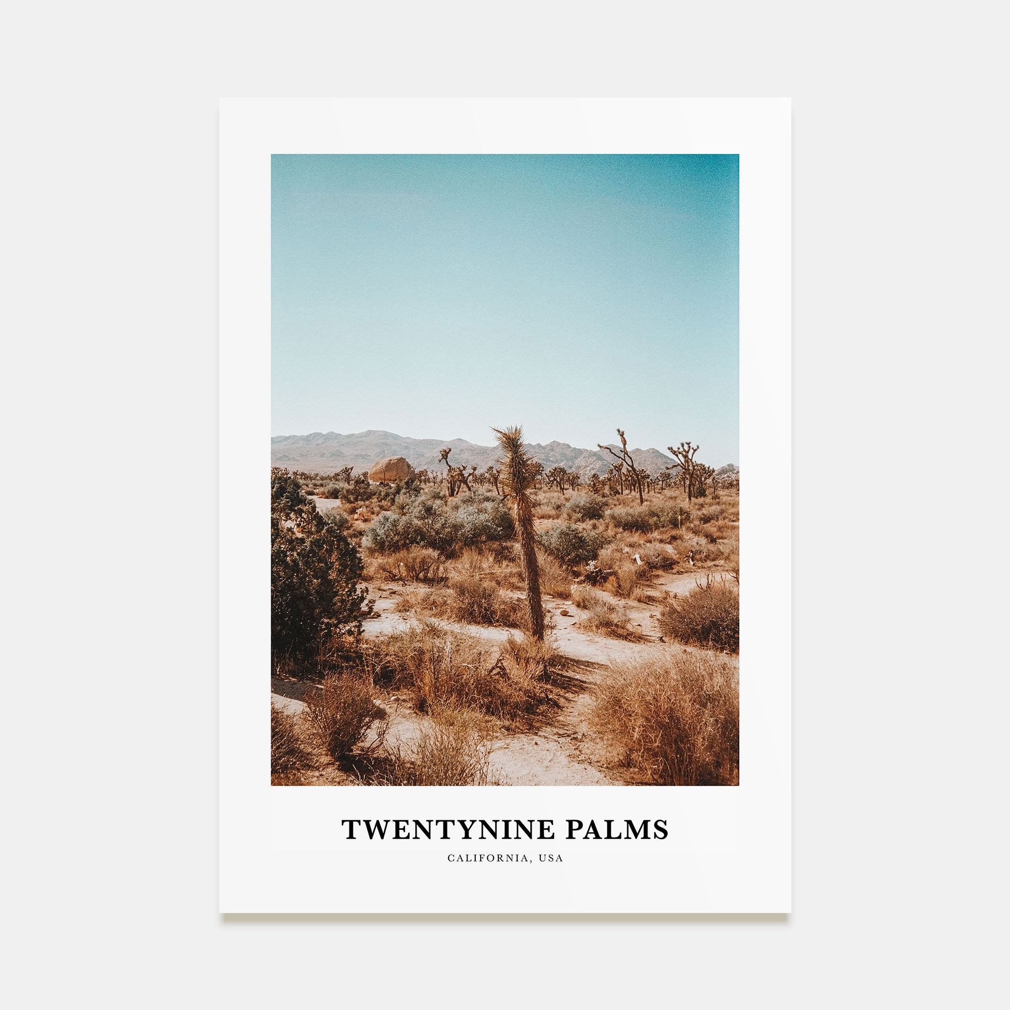 Twentynine Palms Portrait Color Poster