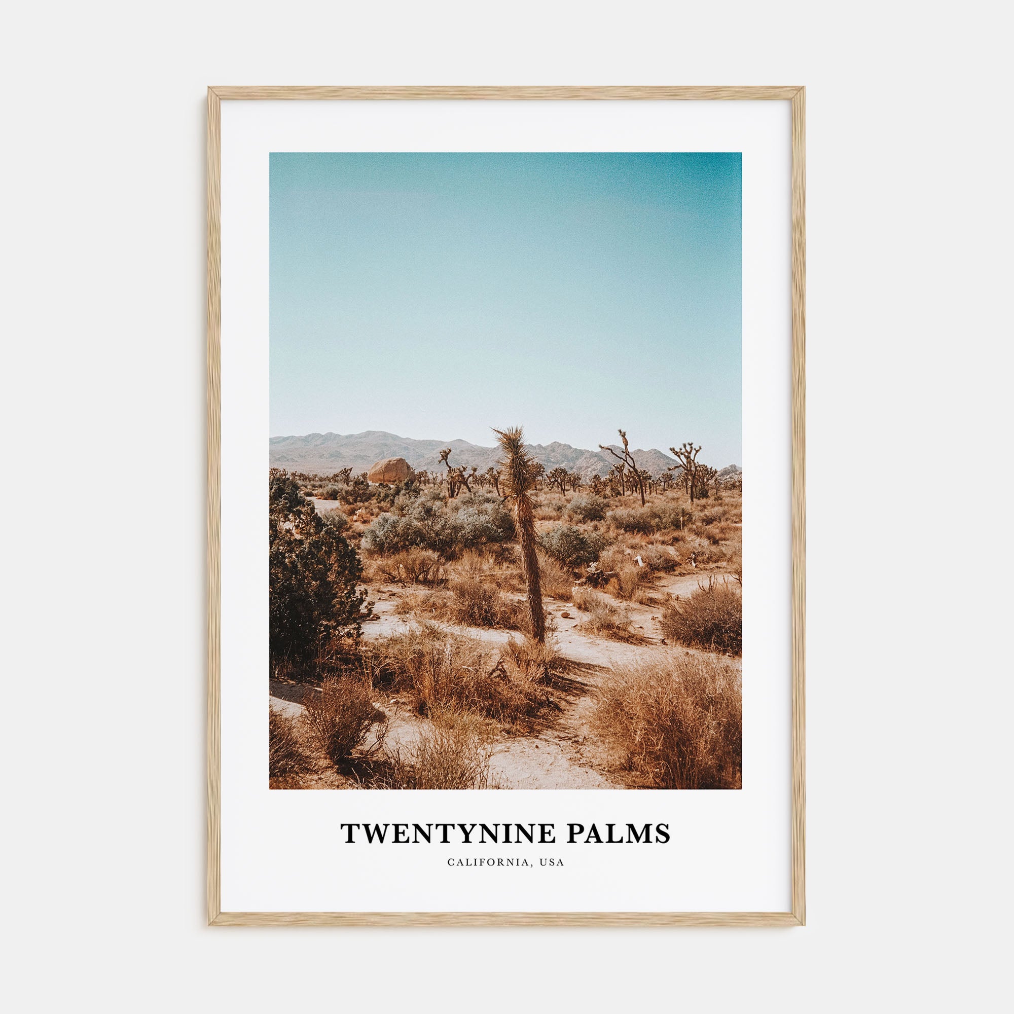 Twentynine Palms Portrait Color Poster