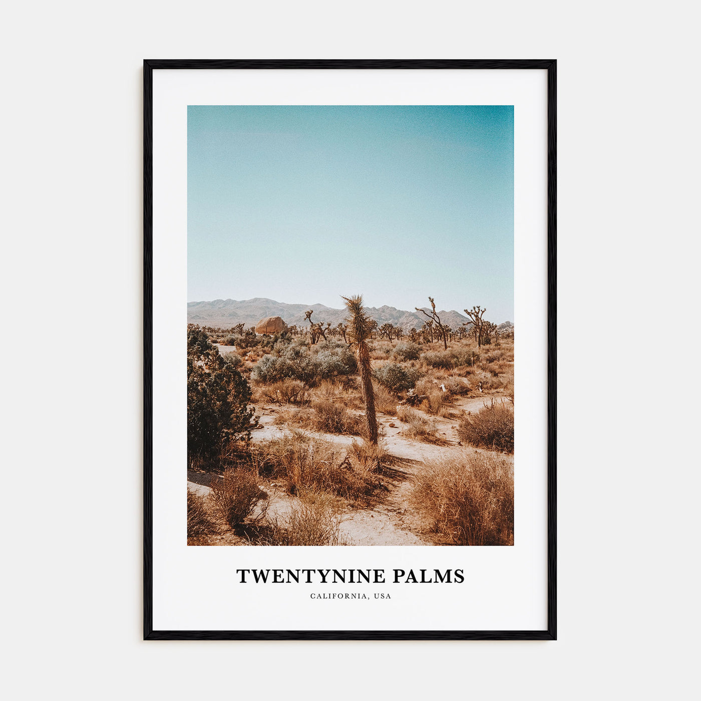 Twentynine Palms Portrait Color Poster