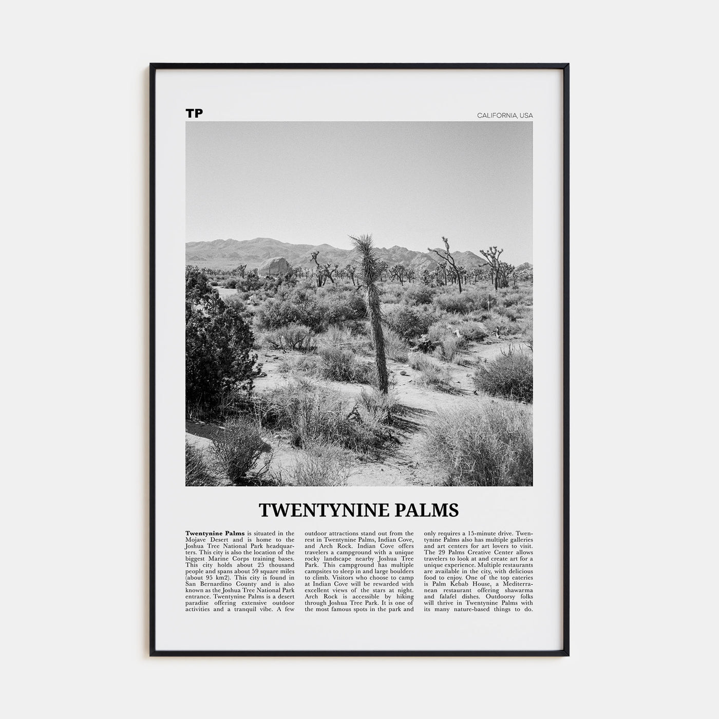 Twentynine Palms Travel B&W Poster