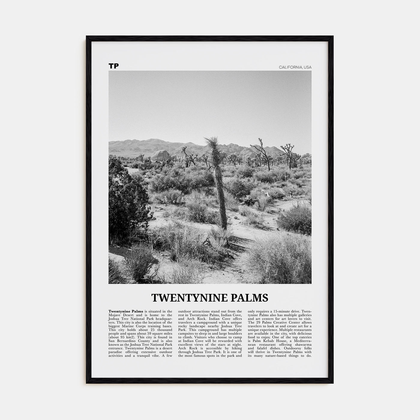 Twentynine Palms Travel B&W Poster