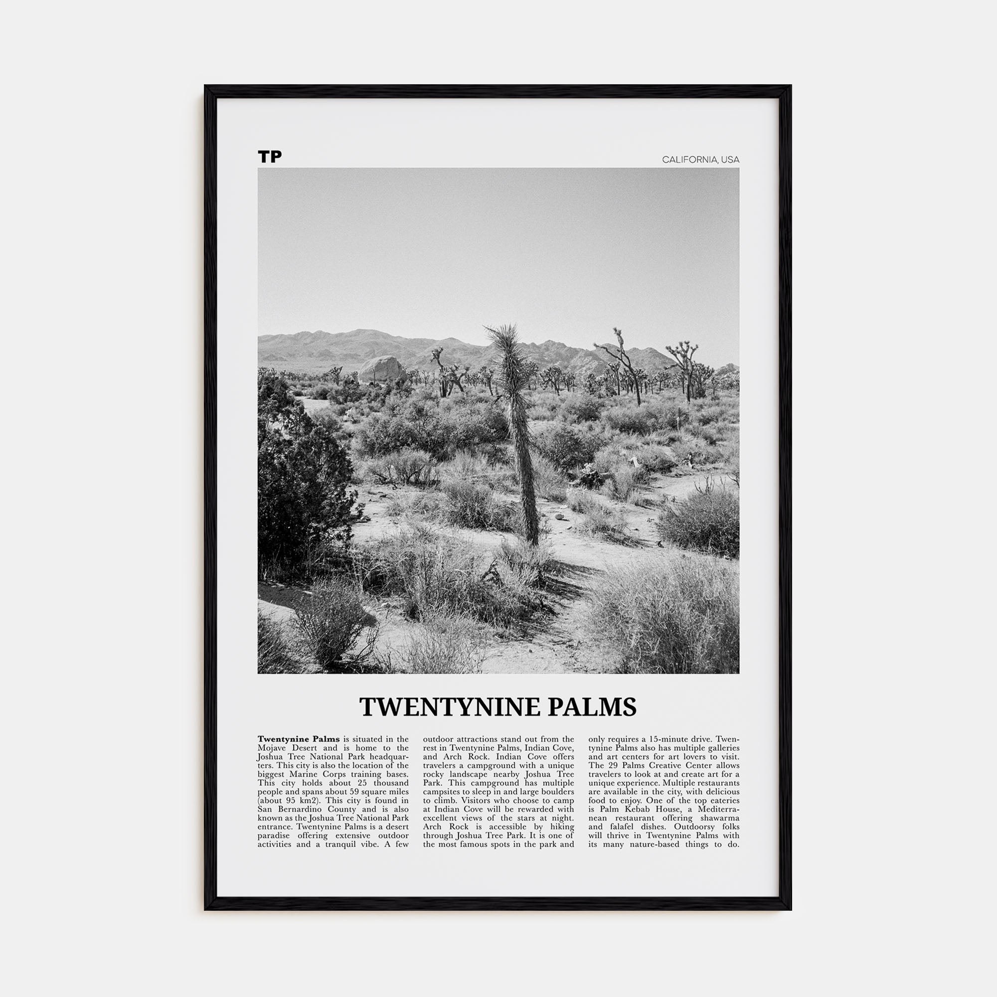 Twentynine Palms Travel B&W Poster