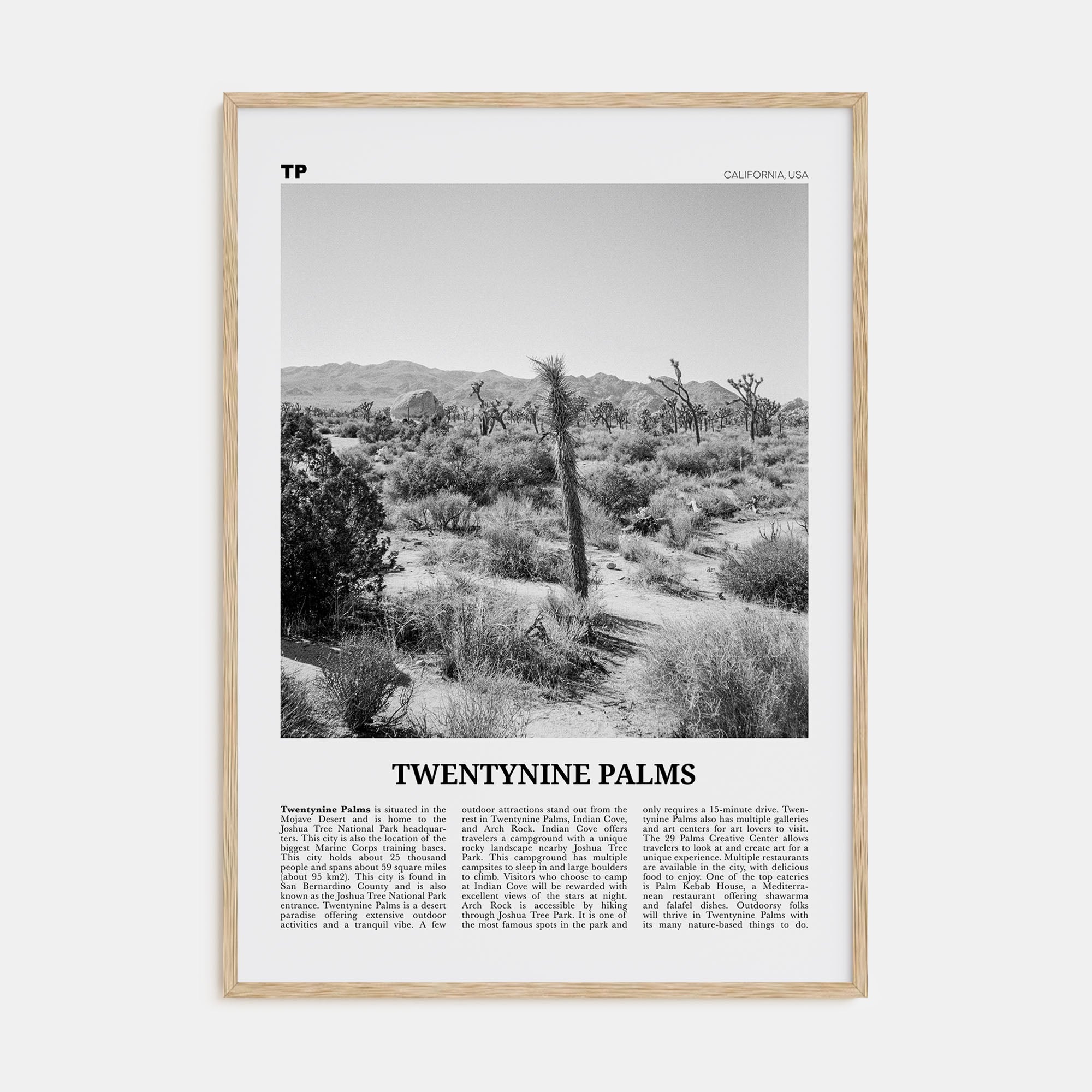 Twentynine Palms Travel B&W Poster