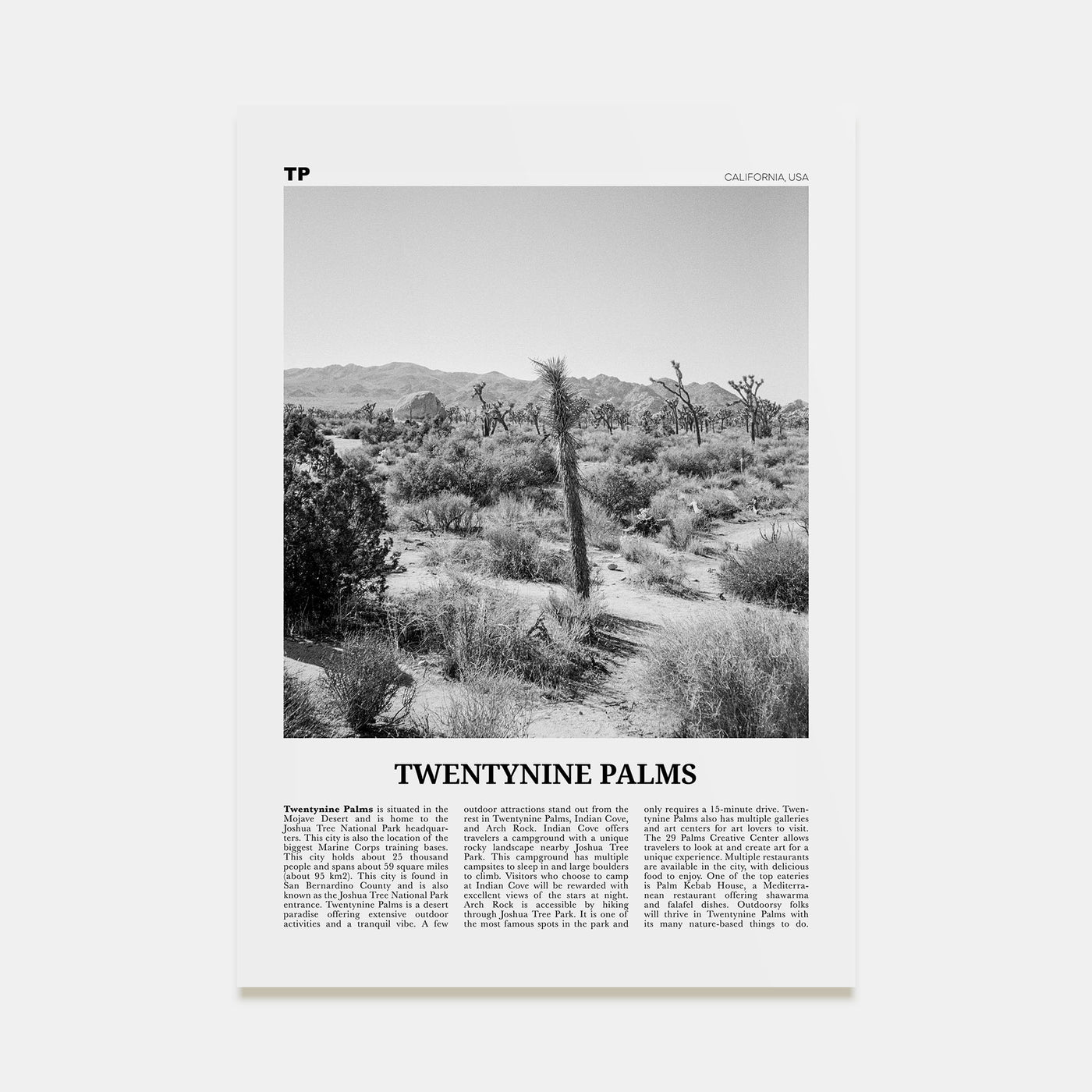Twentynine Palms Travel B&W Poster