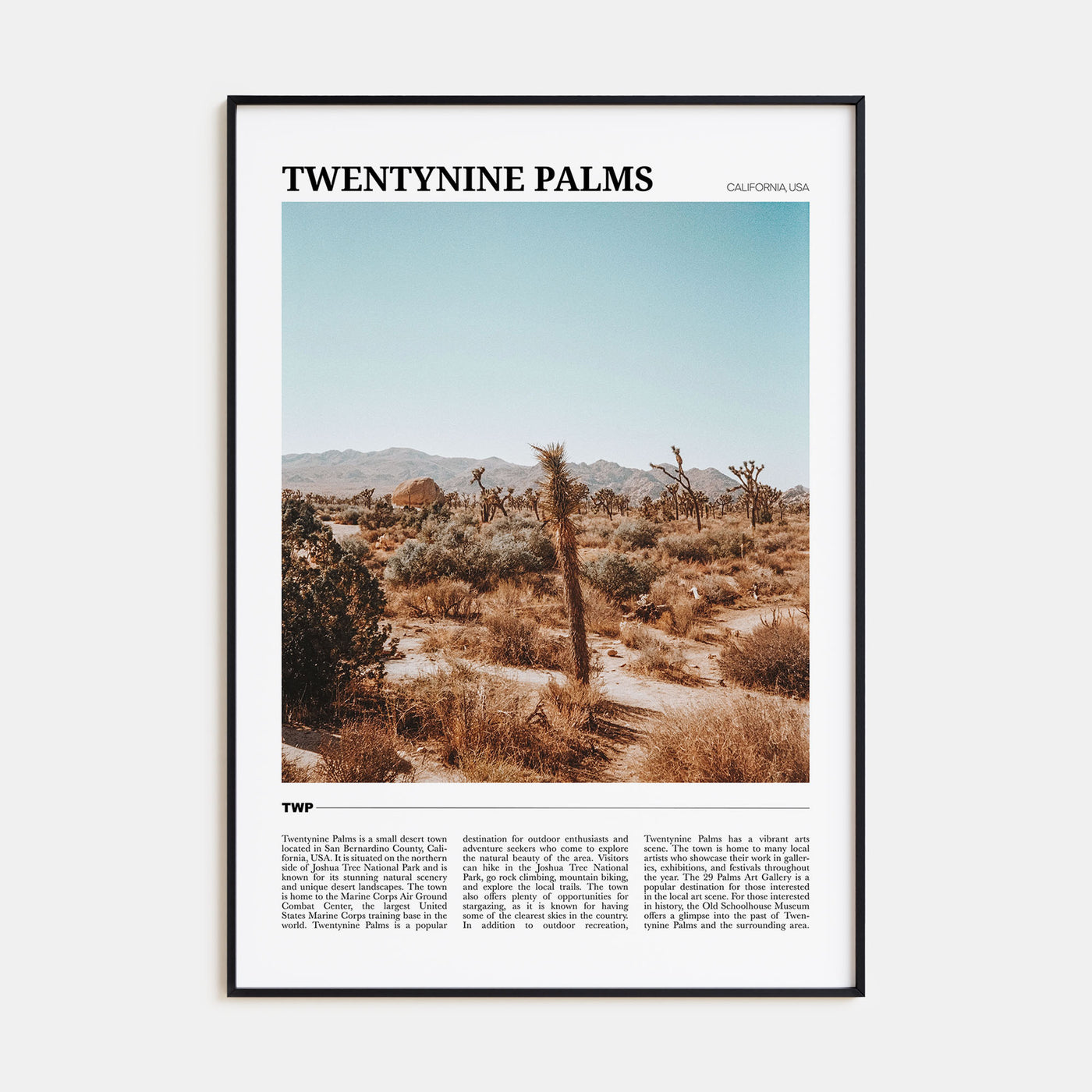 Twentynine Palms Travel Color Poster