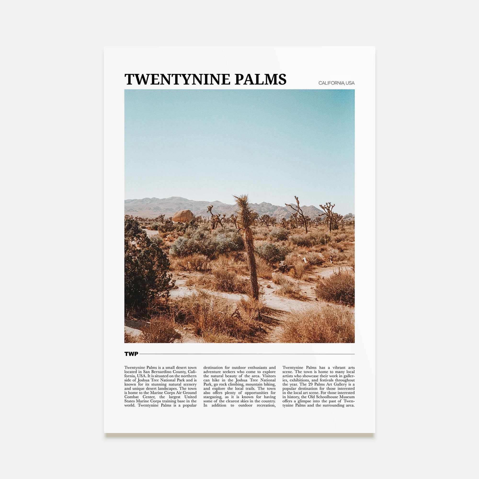 Twentynine Palms Travel Color Poster
