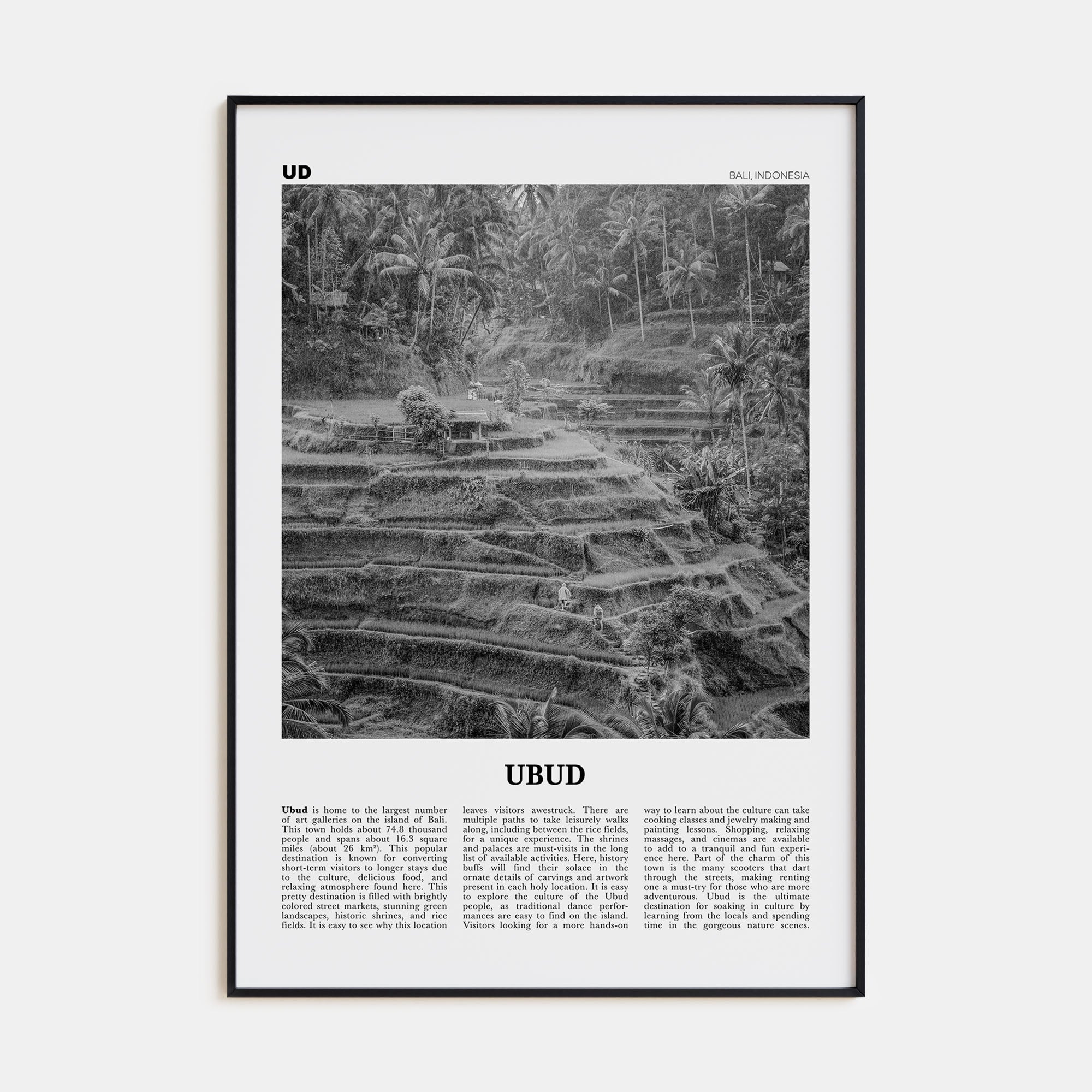 Ubud Travel B&W Poster