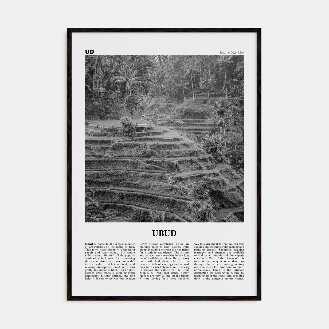 Ubud Travel B&W Poster