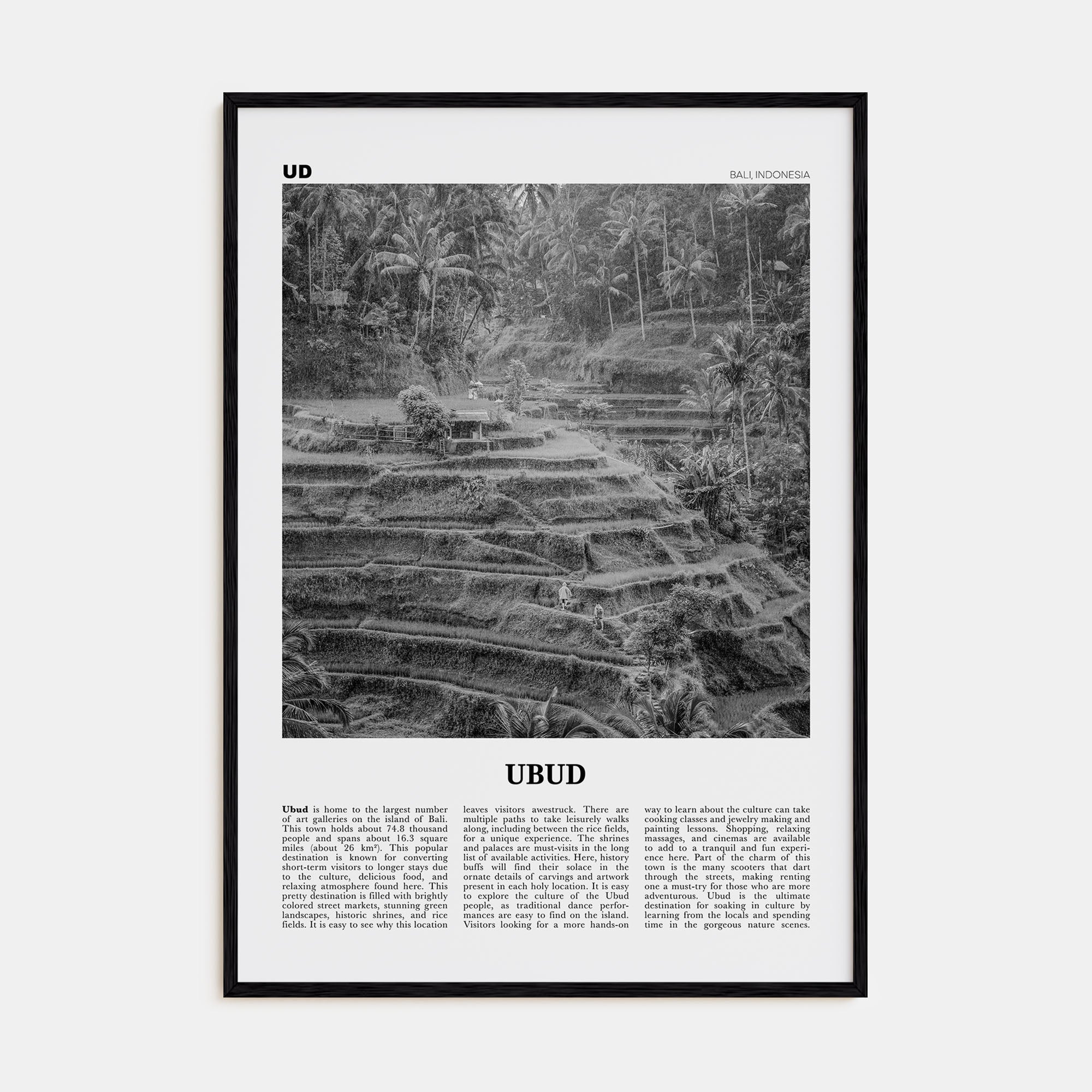 Ubud Travel B&W Poster