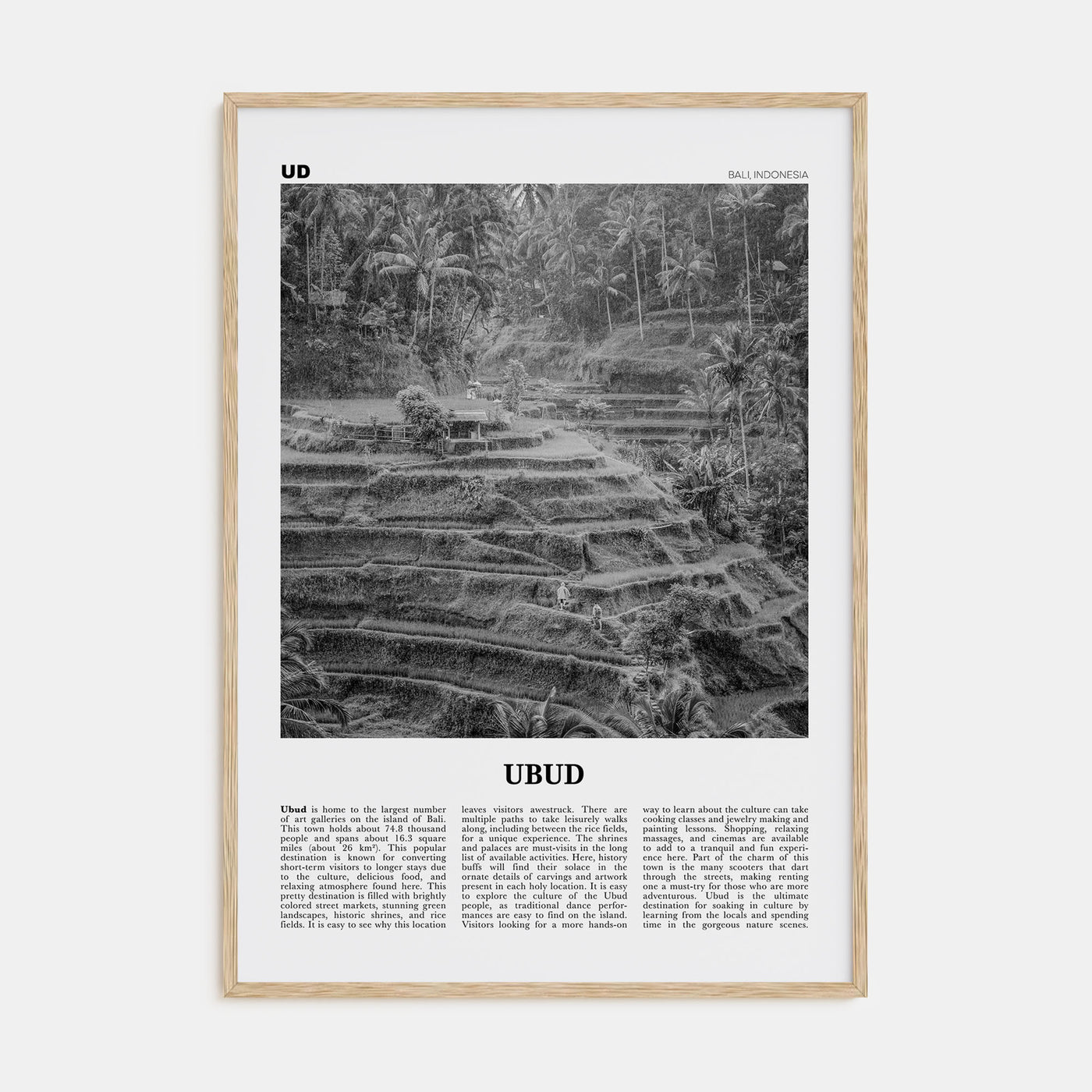 Ubud Travel B&W Poster