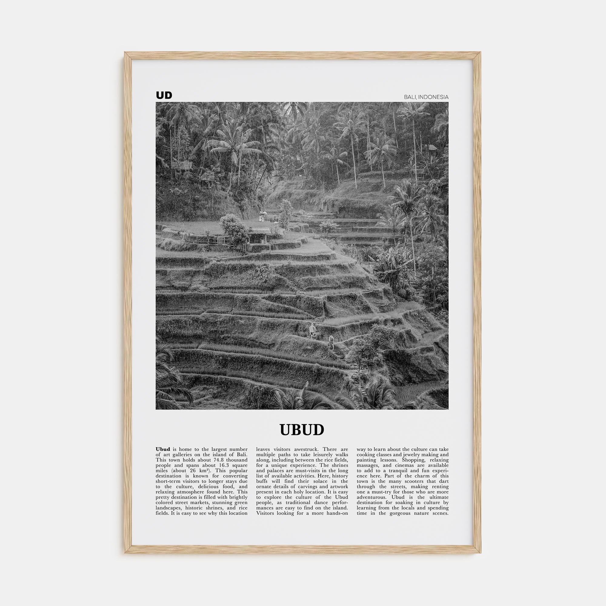 Ubud Travel B&W Poster