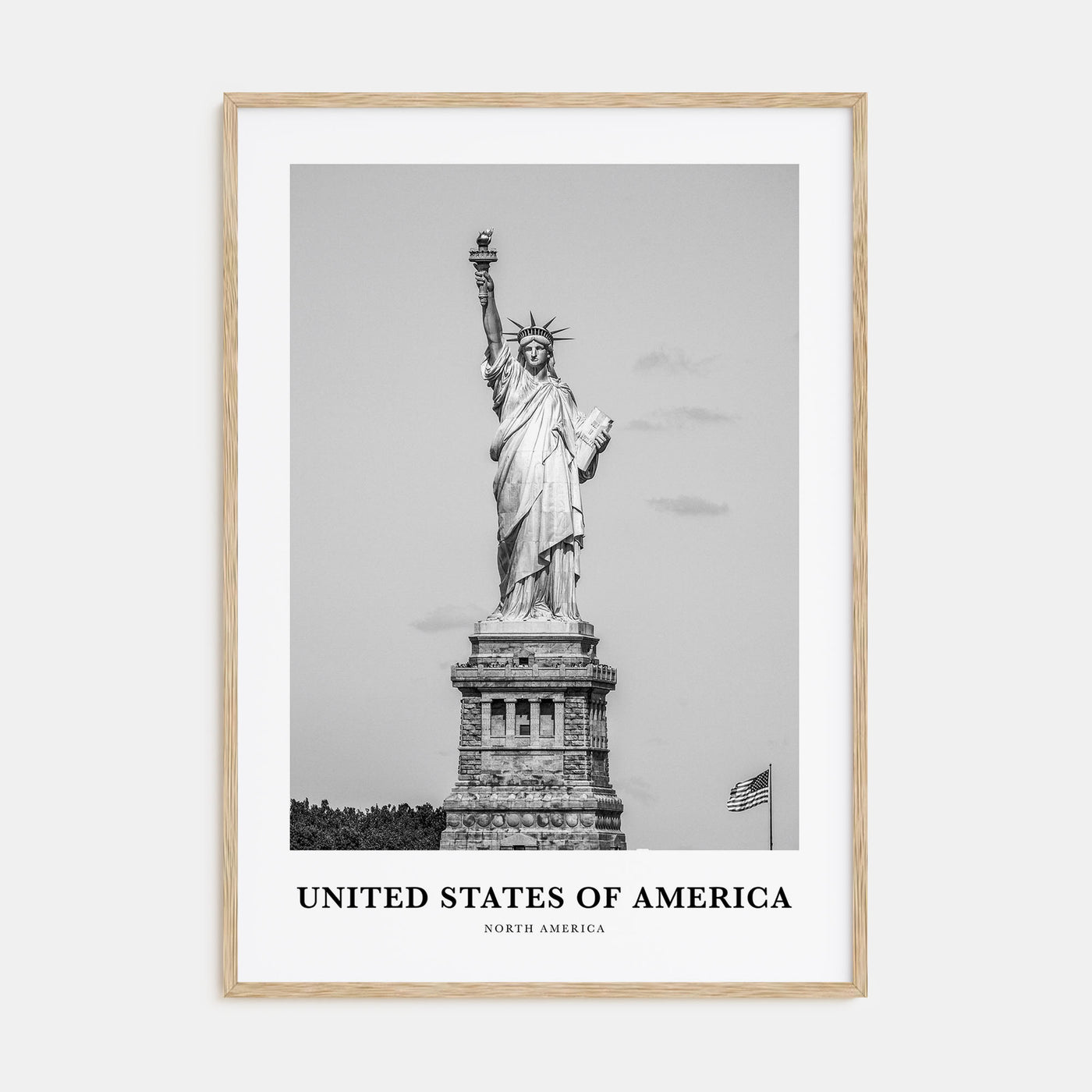 United States of America Portrait B&W No 1 Poster