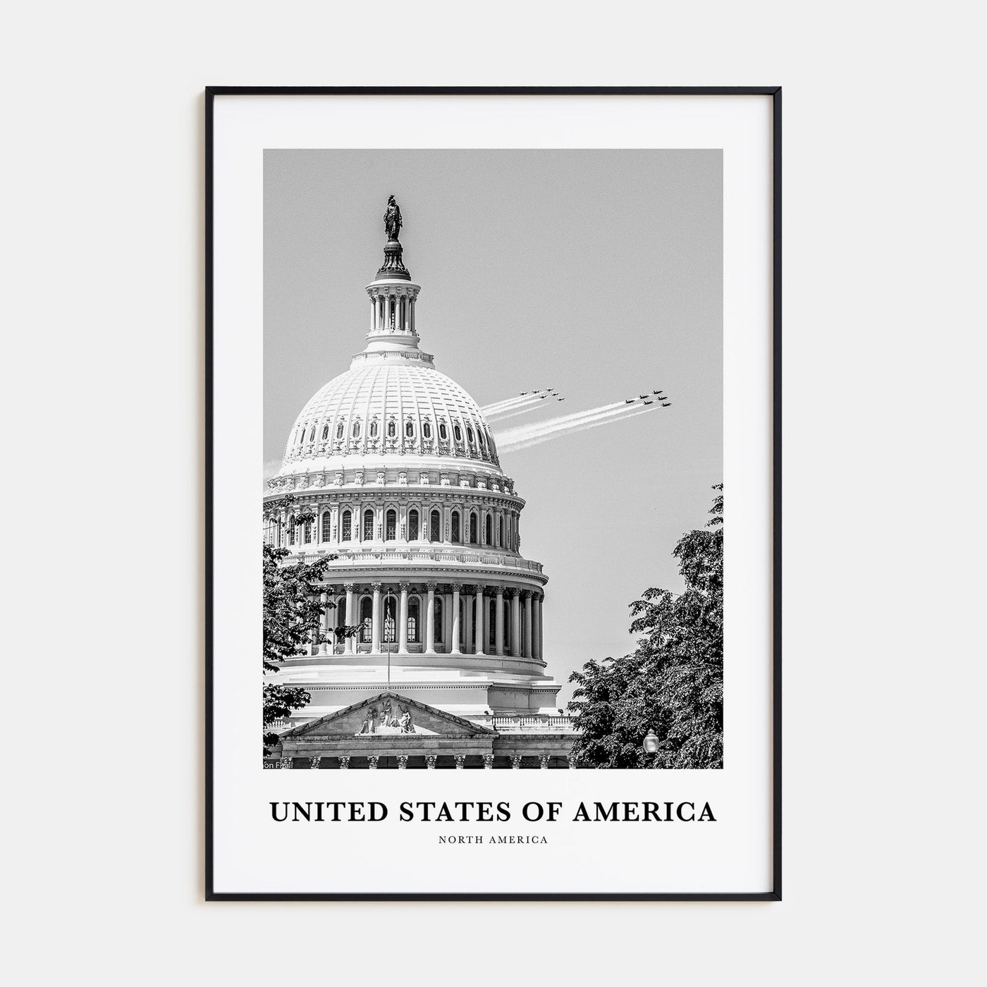 United States of America Portrait B&W No 2 Poster