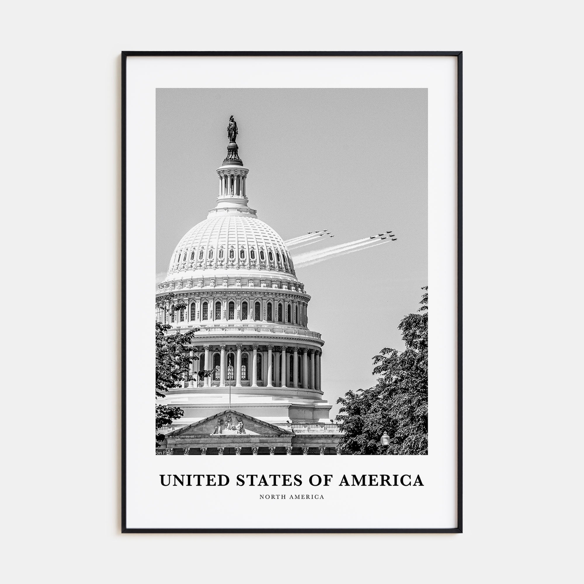 United States of America Portrait B&W No 2 Poster