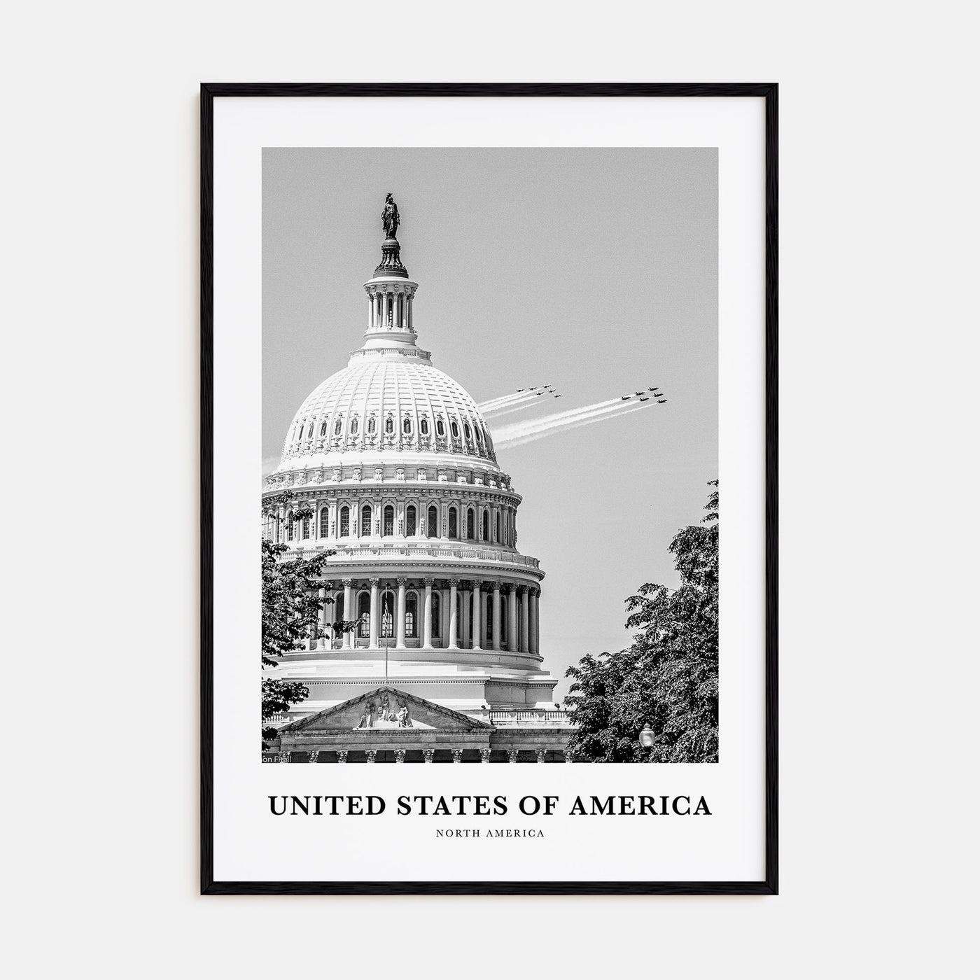 United States of America Portrait B&W No 2 Poster