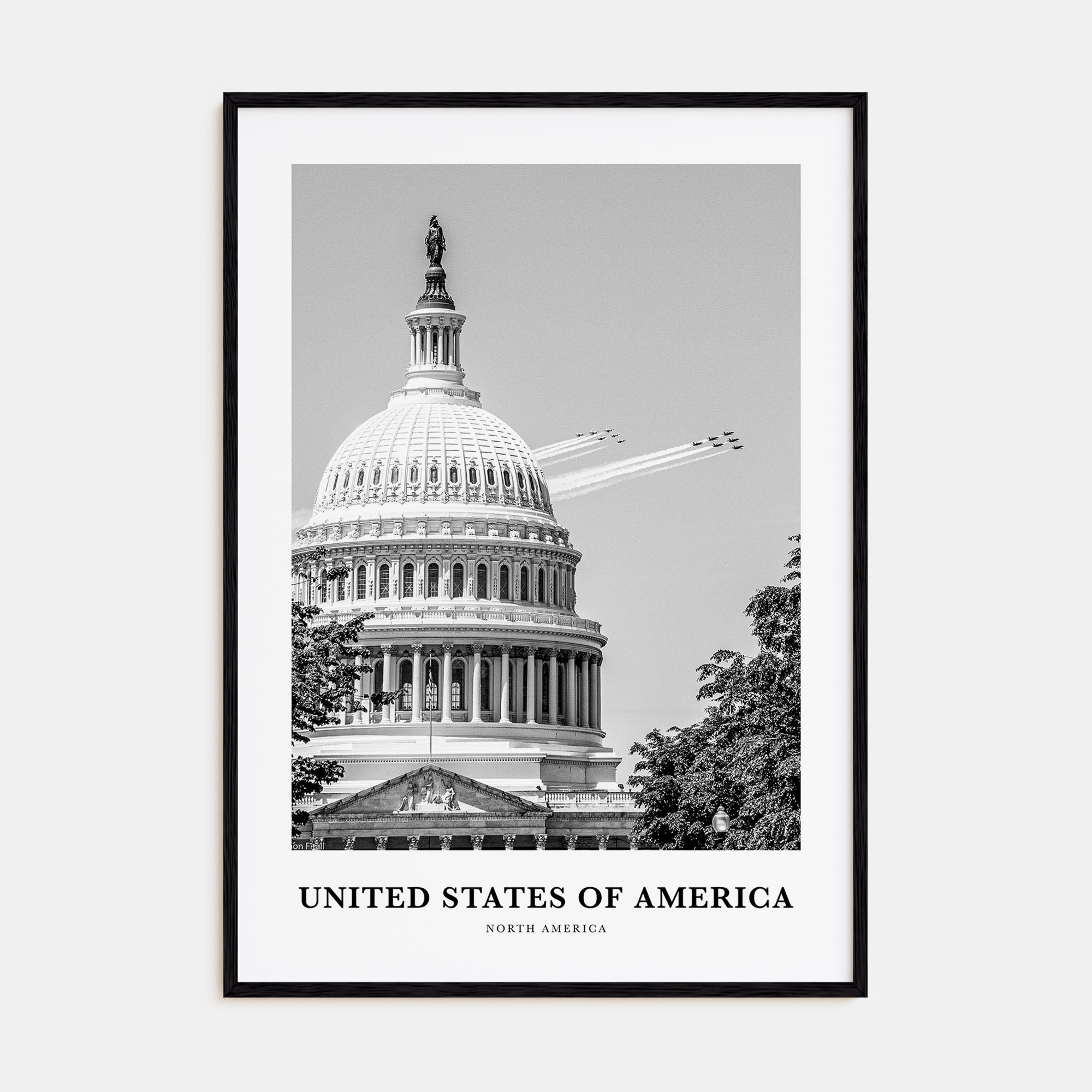 United States of America Portrait B&W No 2 Poster