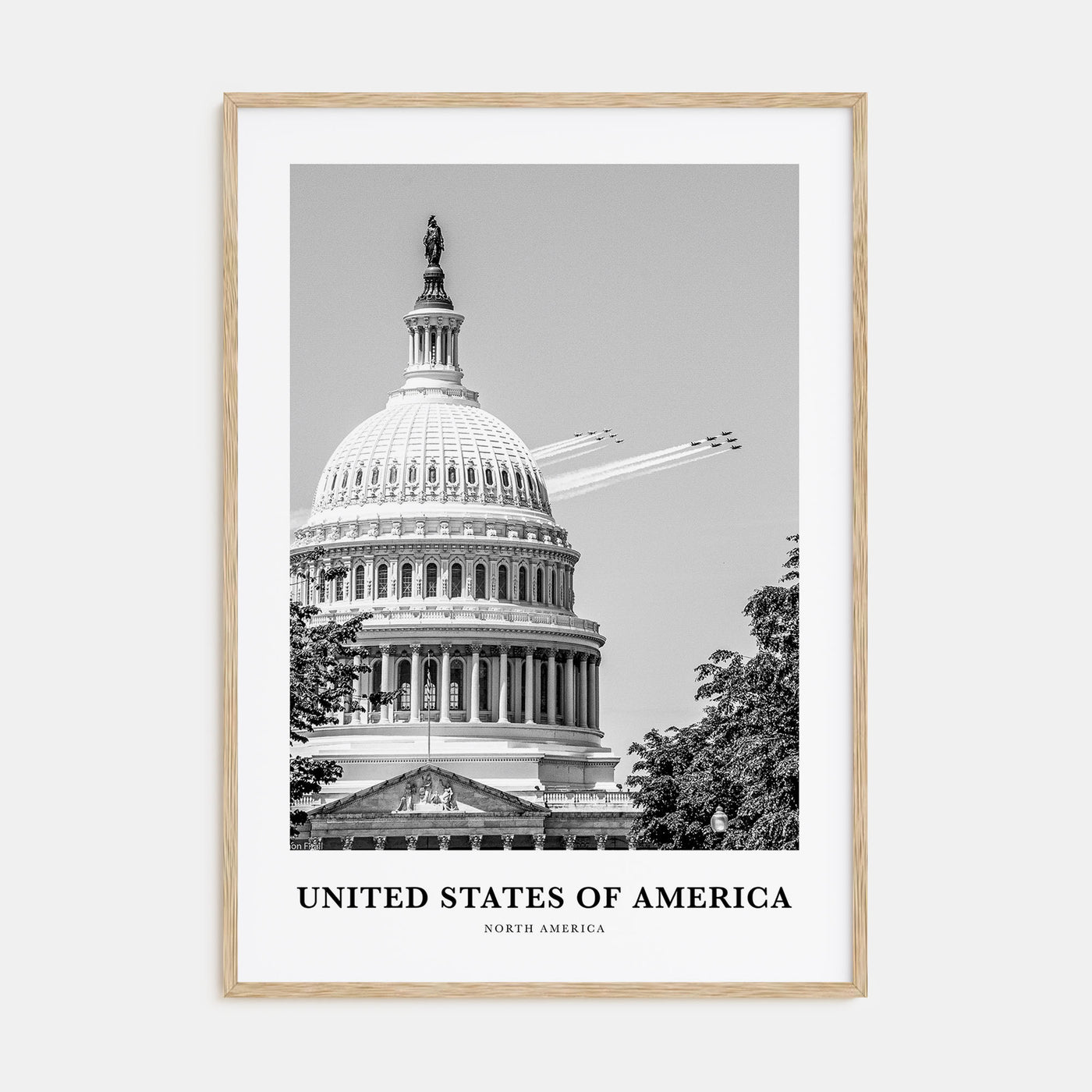 United States of America Portrait B&W No 2 Poster