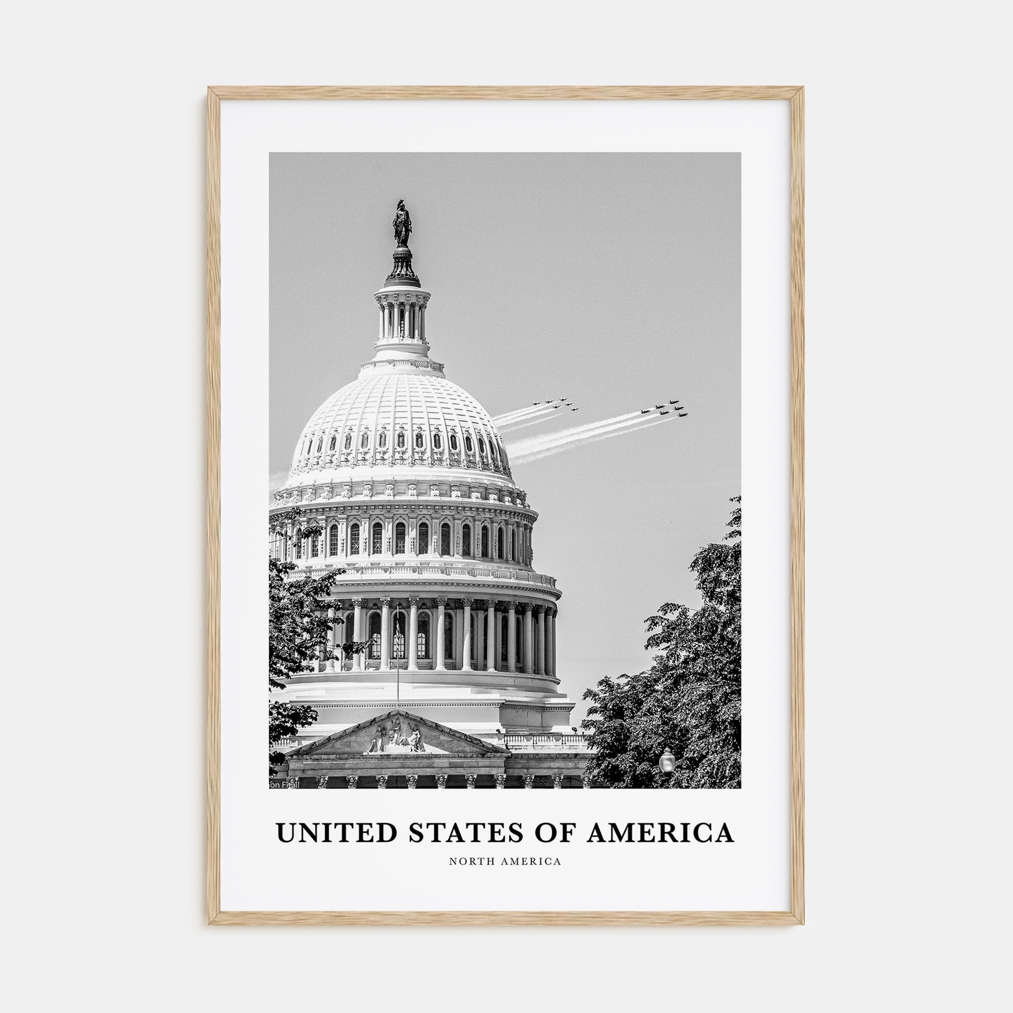 United States of America Portrait B&W No 2 Poster
