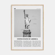 United States of America Travel B&W No 1 Poster
