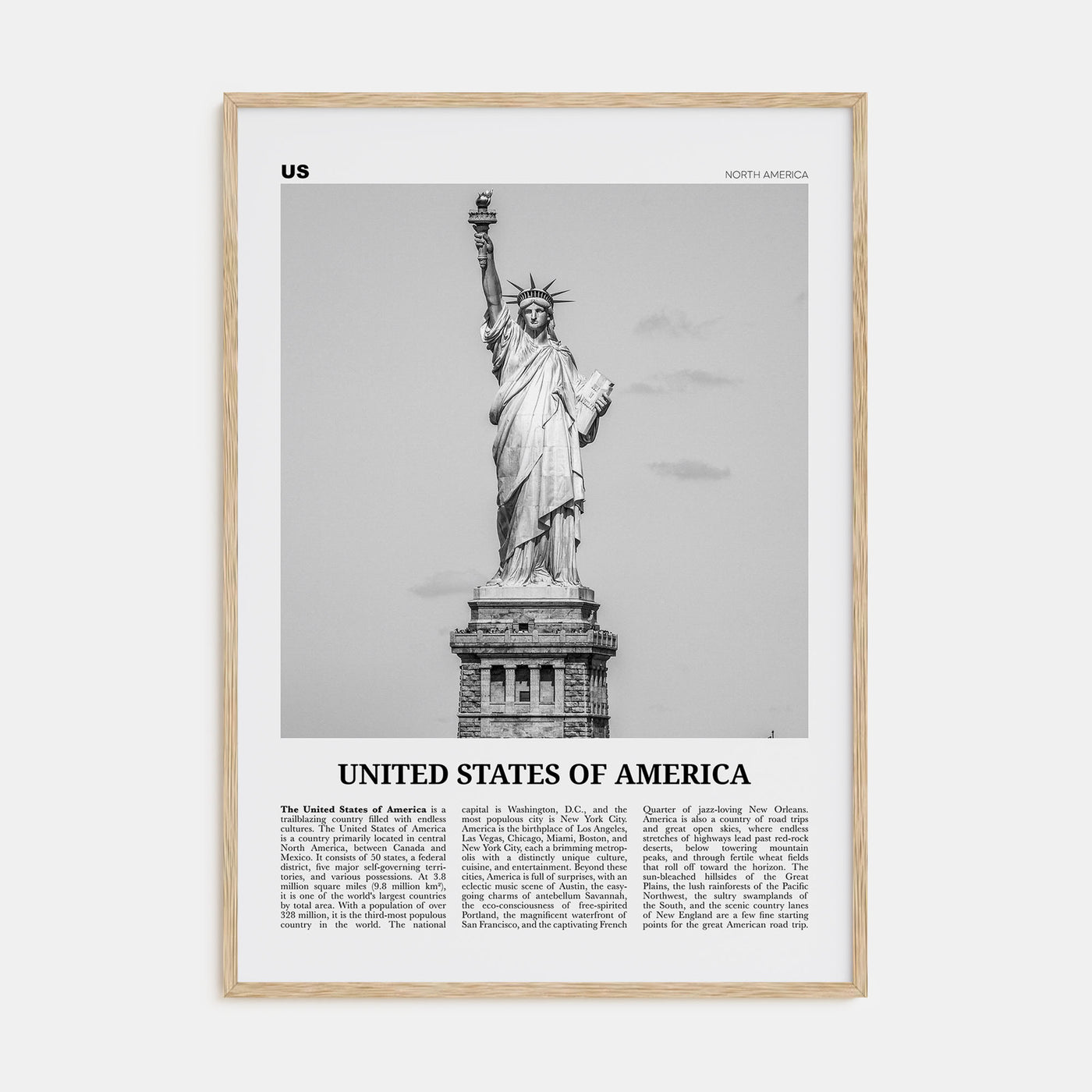 United States of America Travel B&W No 1 Poster