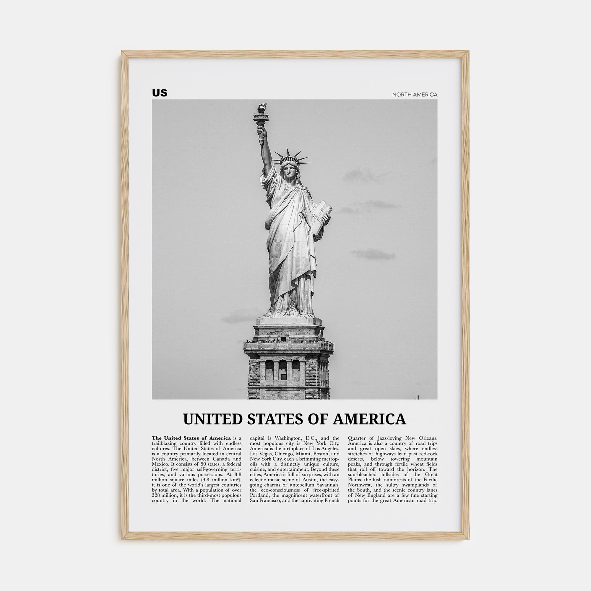 United States of America Travel B&W No 1 Poster