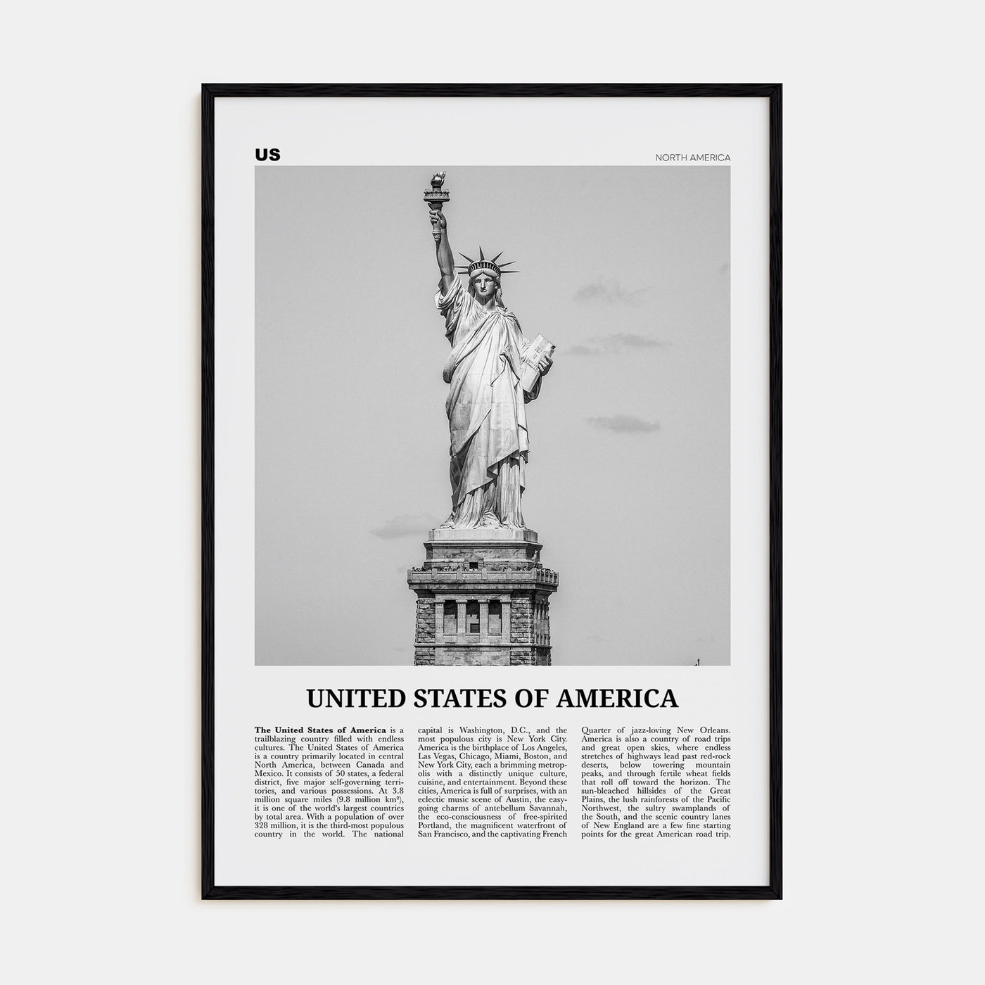 United States of America Travel B&W No 1 Poster