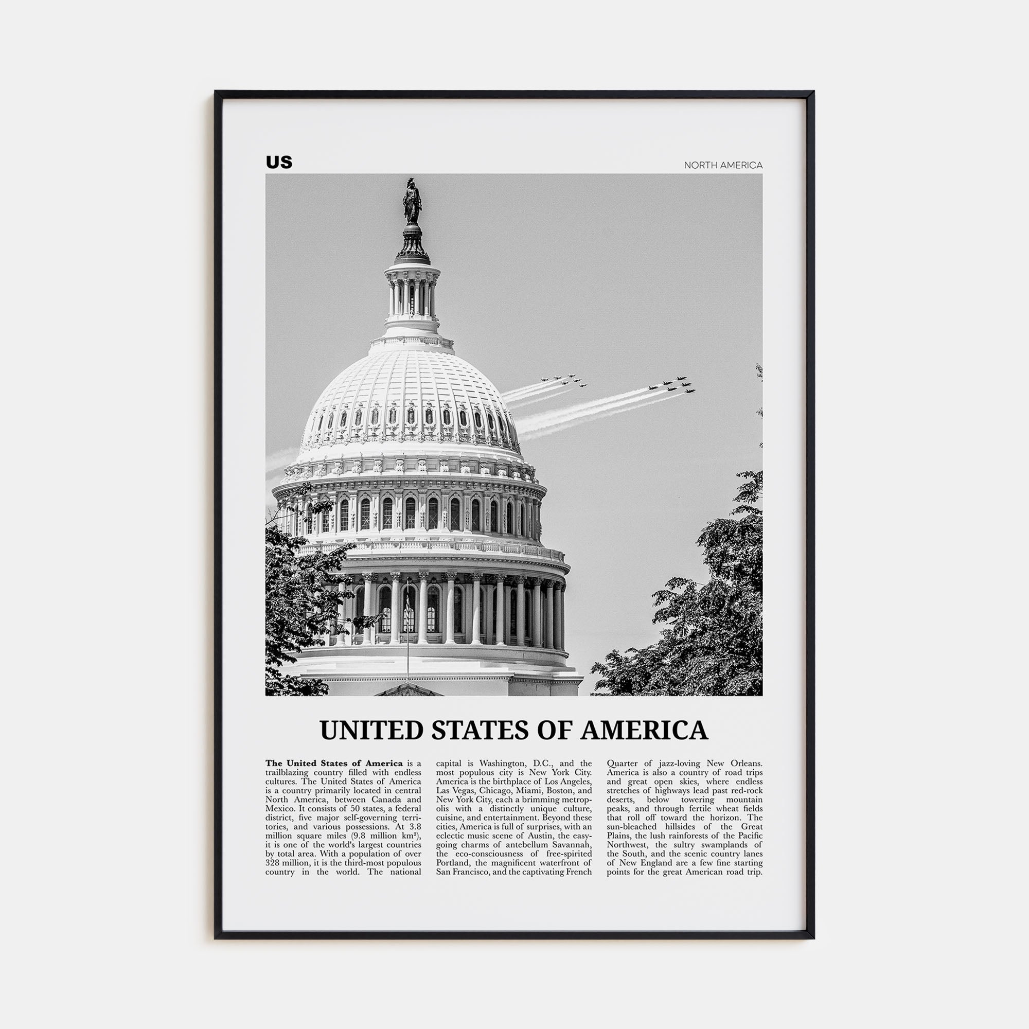 United States of America Travel B&W No 2 Poster