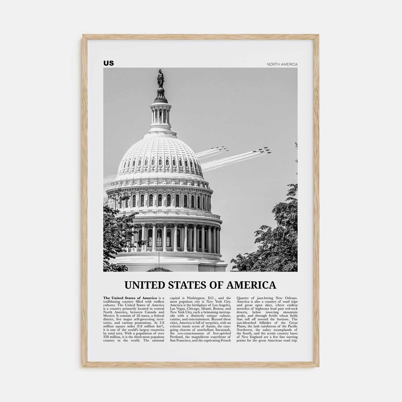United States of America Travel B&W No 2 Poster