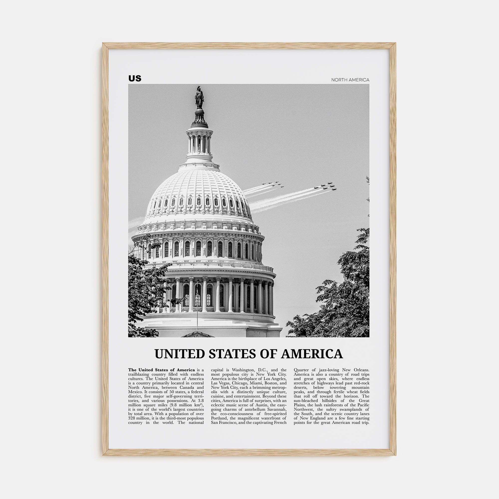 United States of America Travel B&W No 2 Poster