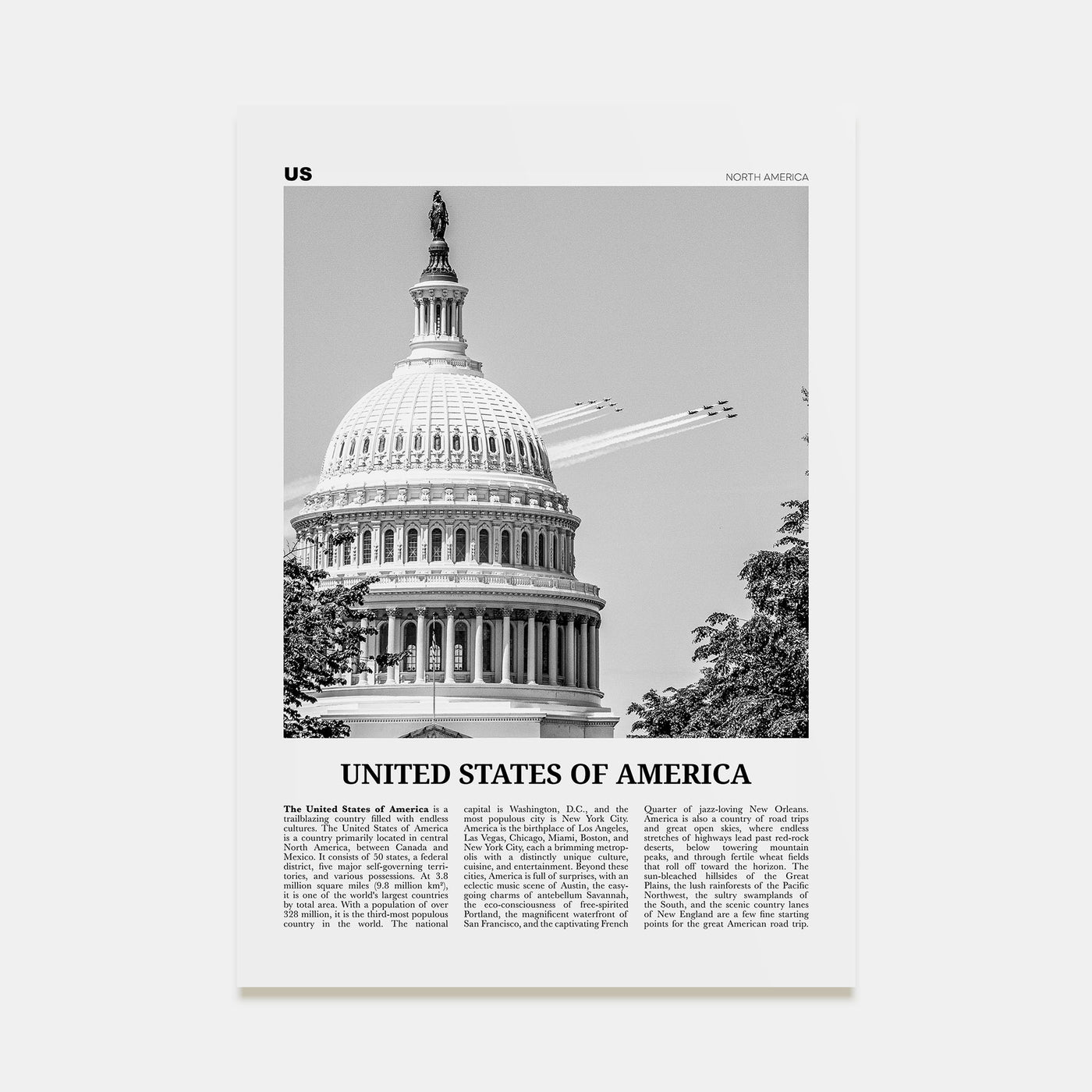 United States of America Travel B&W No 2 Poster