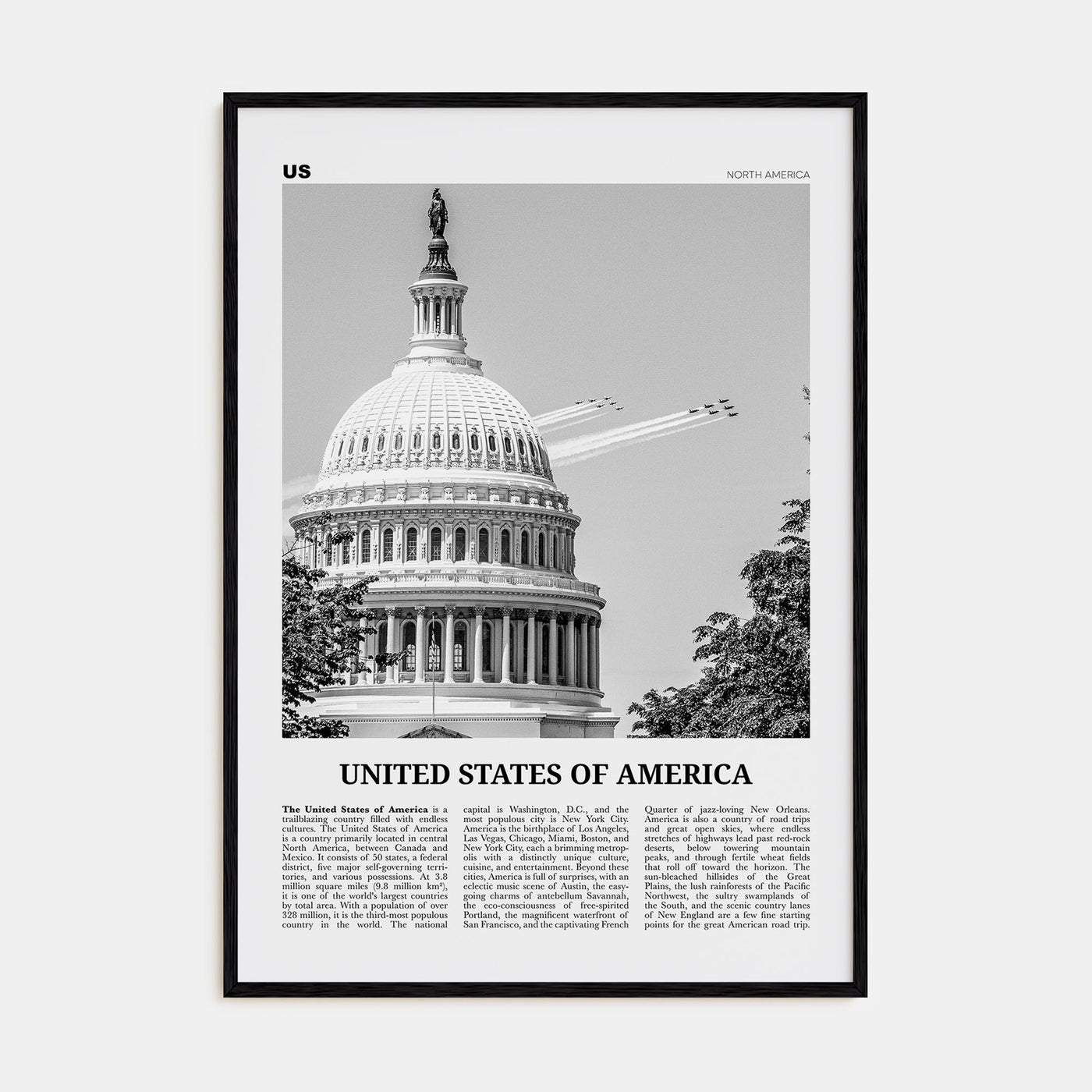 United States of America Travel B&W No 2 Poster